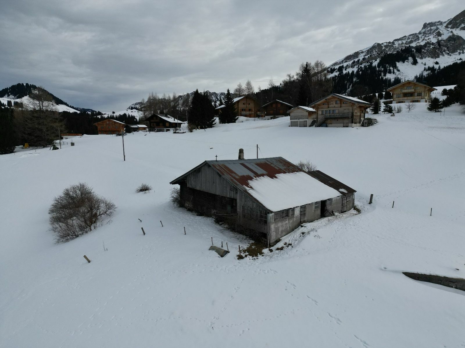 Photo 1