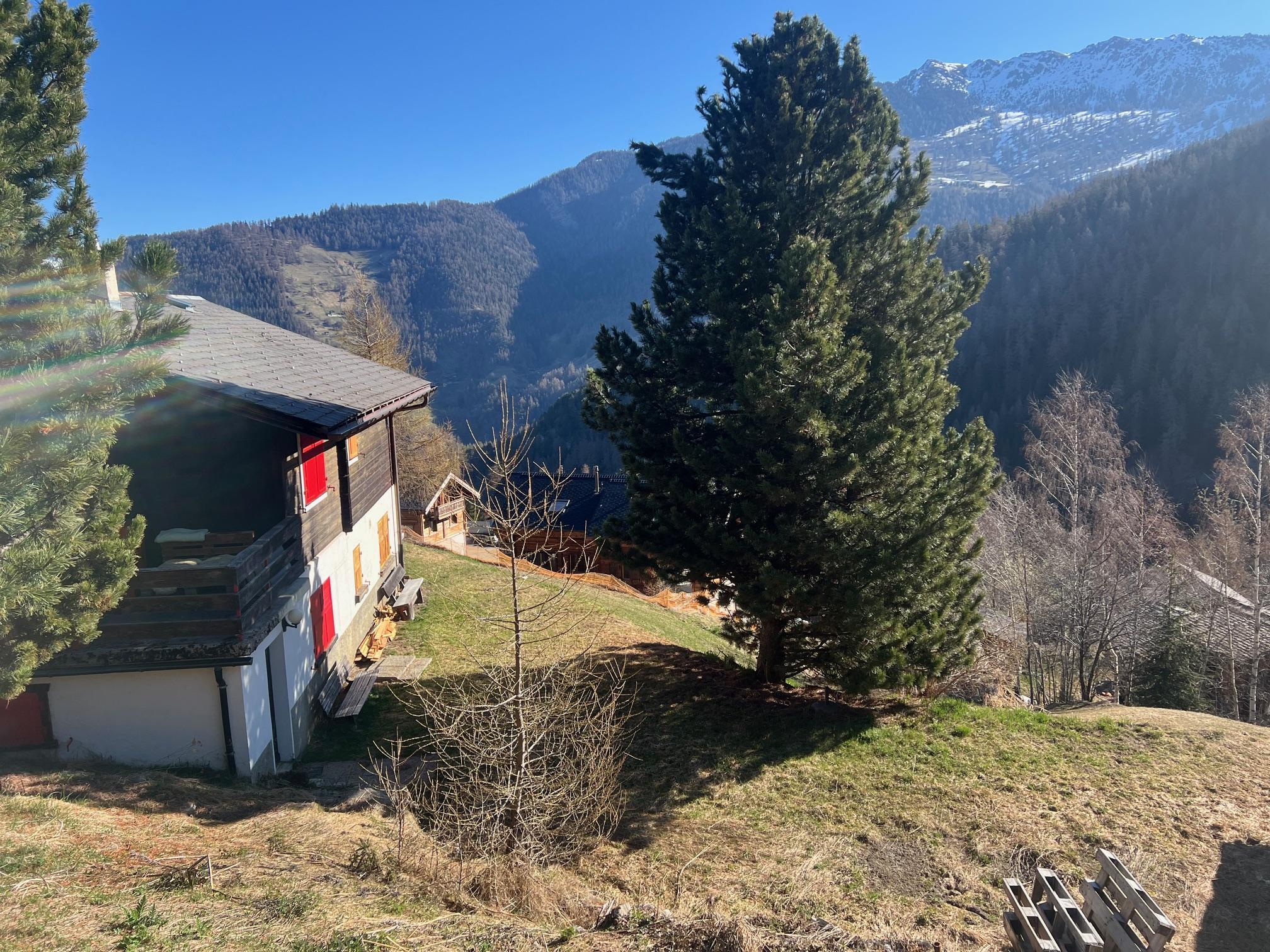 Foto 12