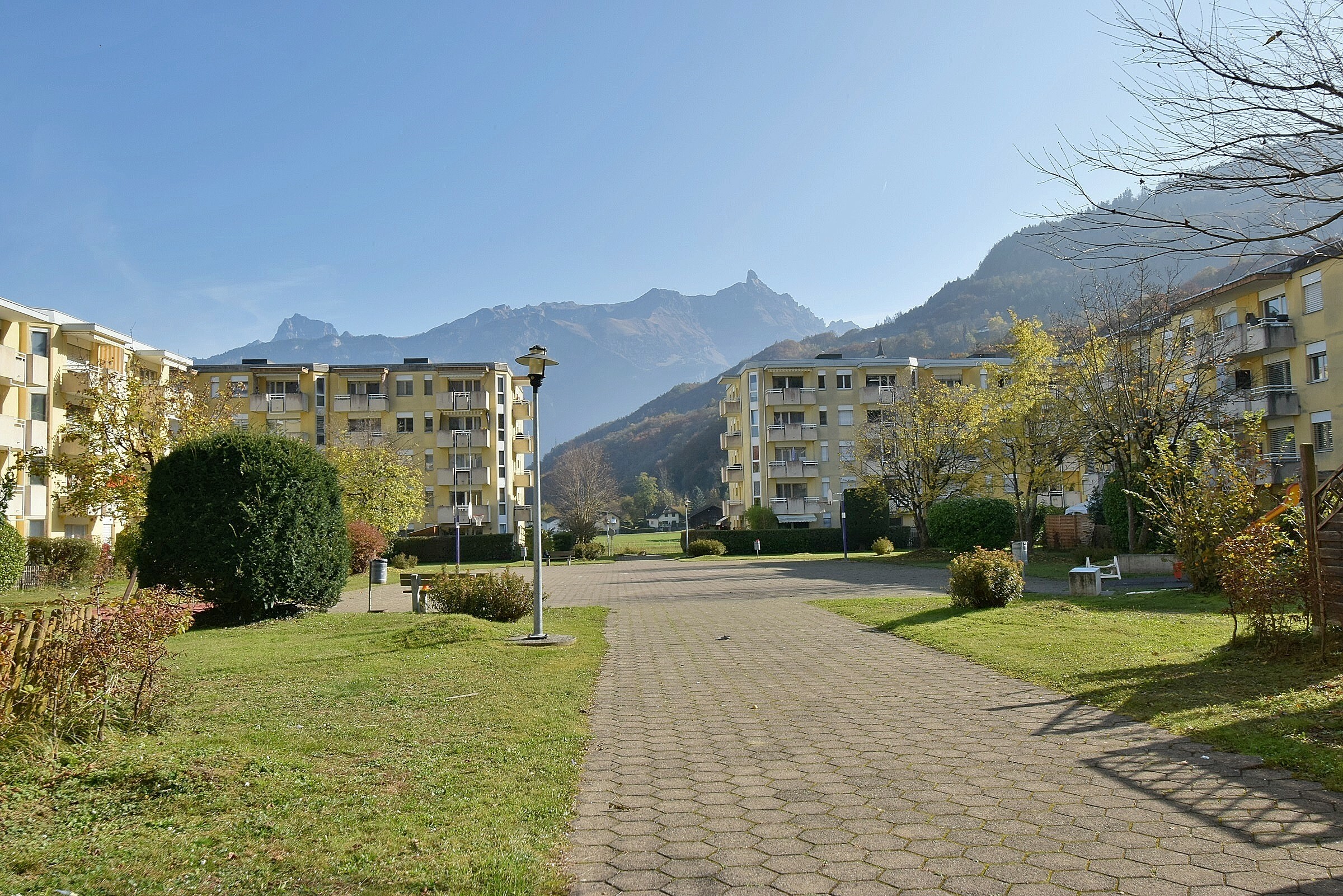 Photo 11