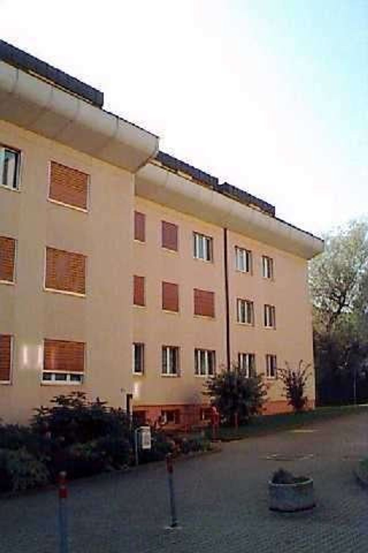 Picture 1