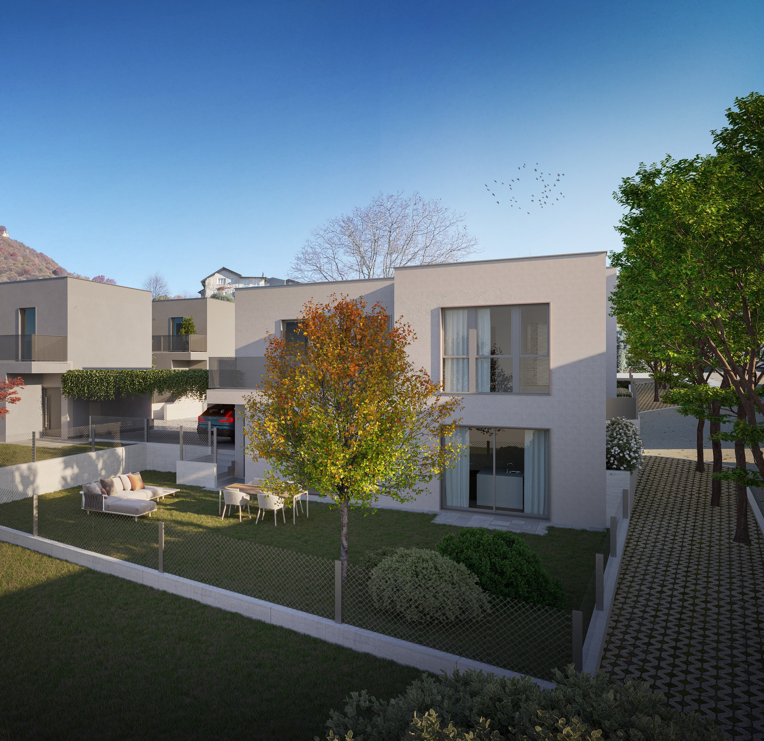 Immagine di copertina