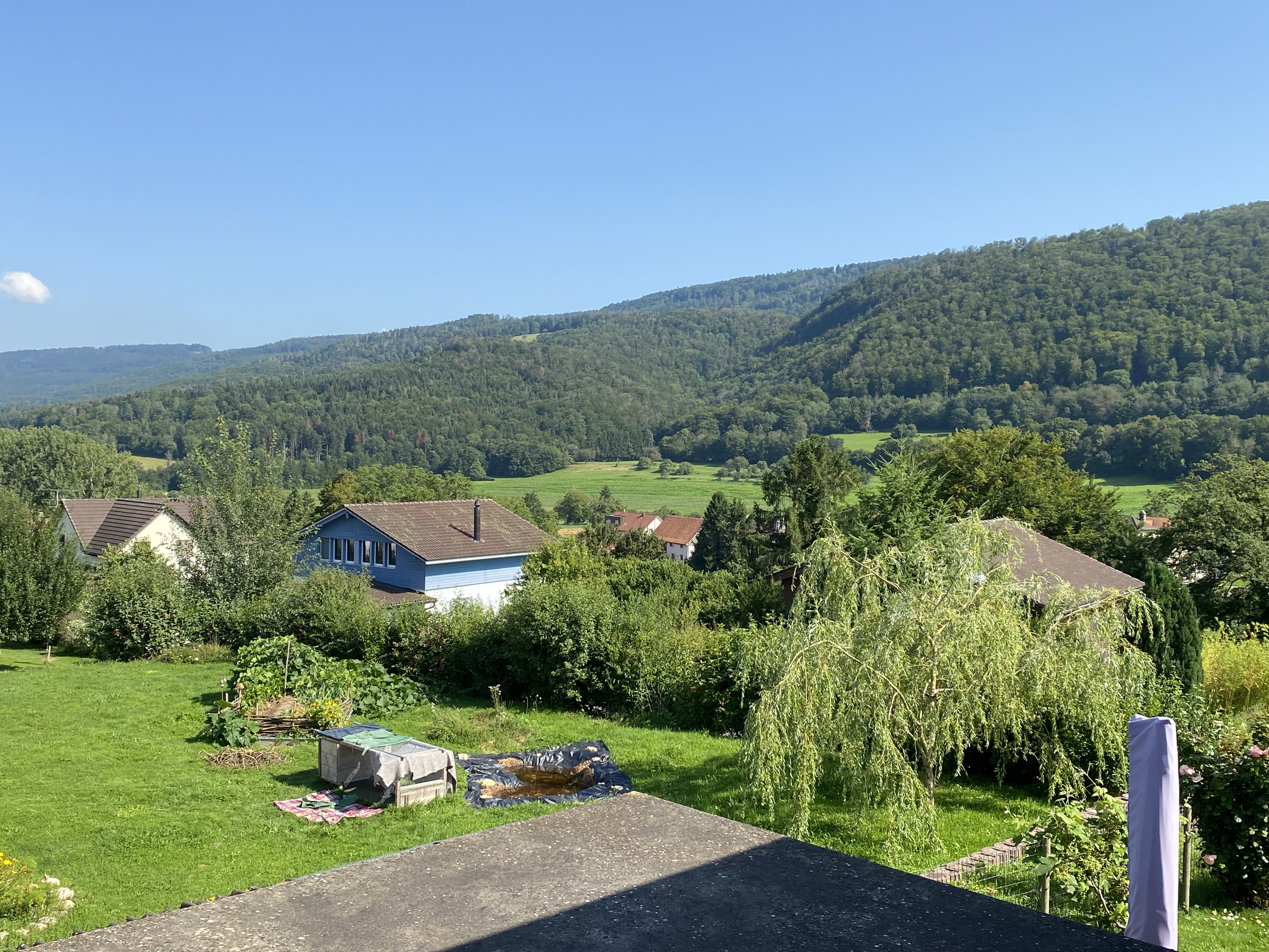 Foto 16
