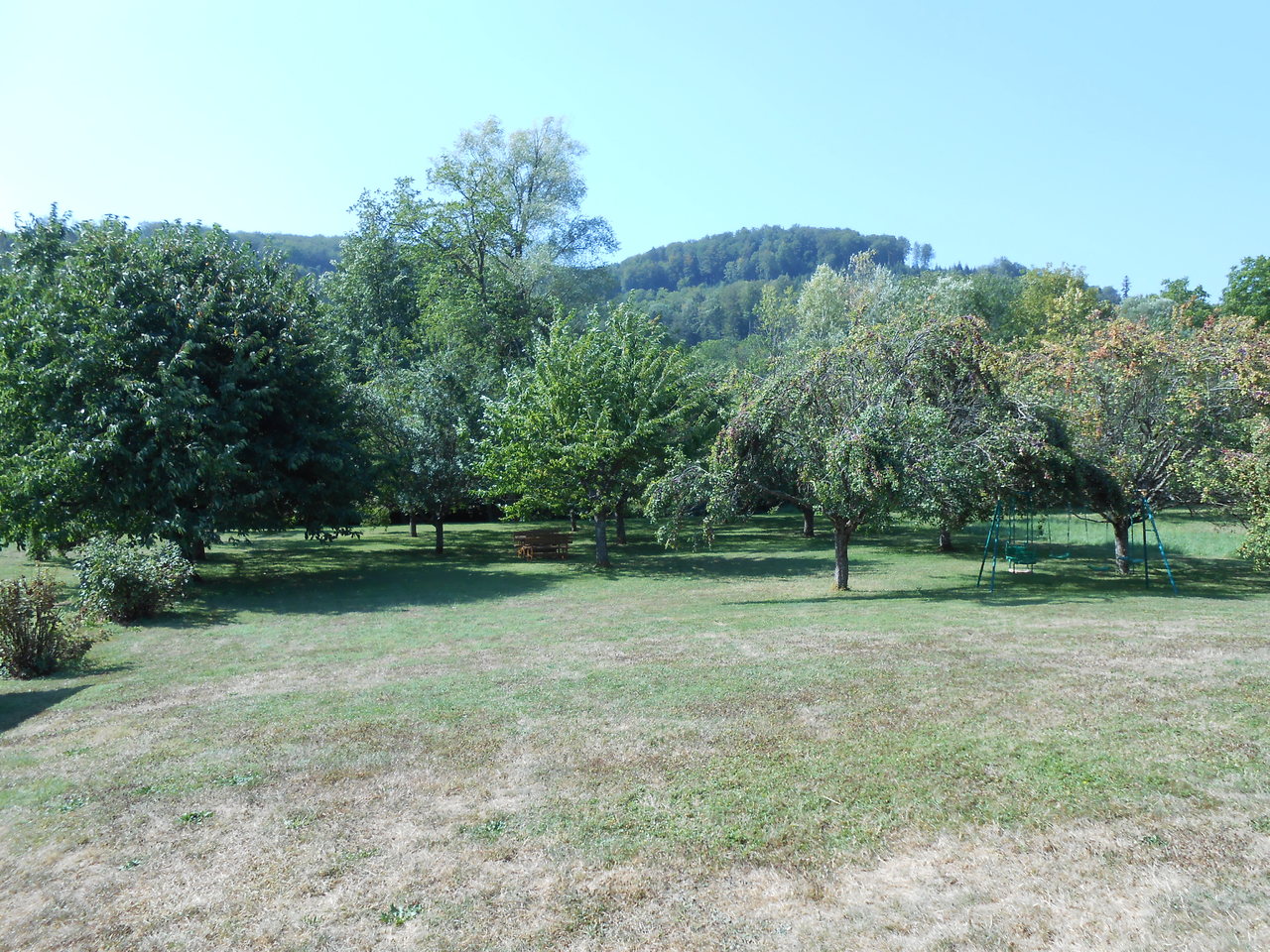 Photo 22