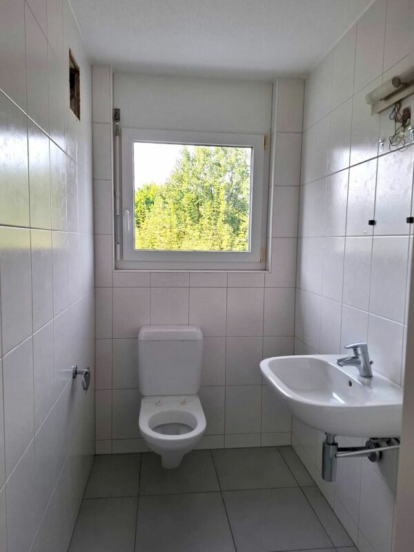 Picture 12