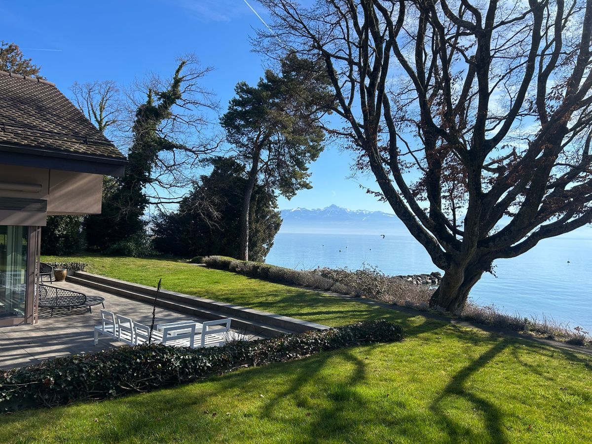Vue sur le lac avec terrasse et arbre majestueux.