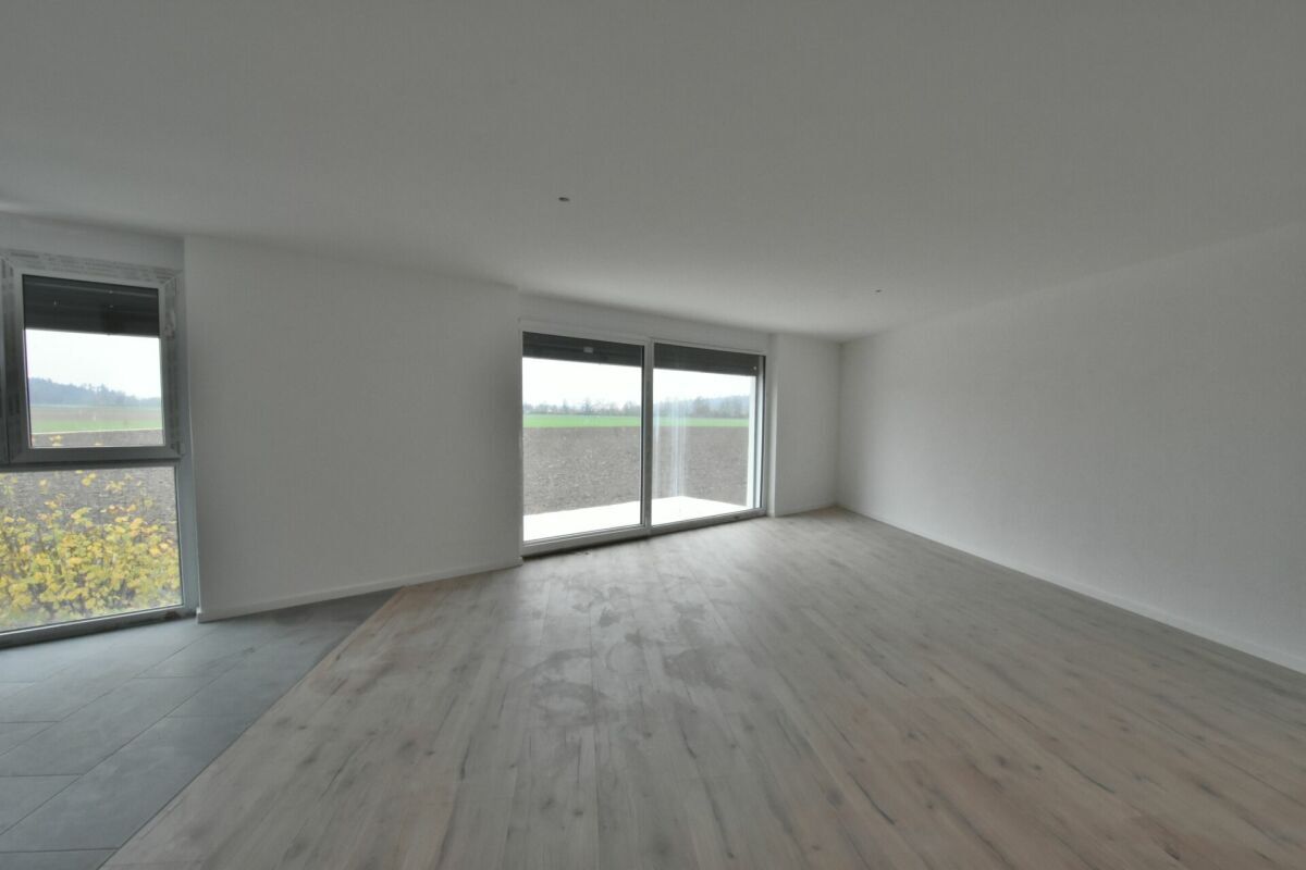 Immagine di copertina 2