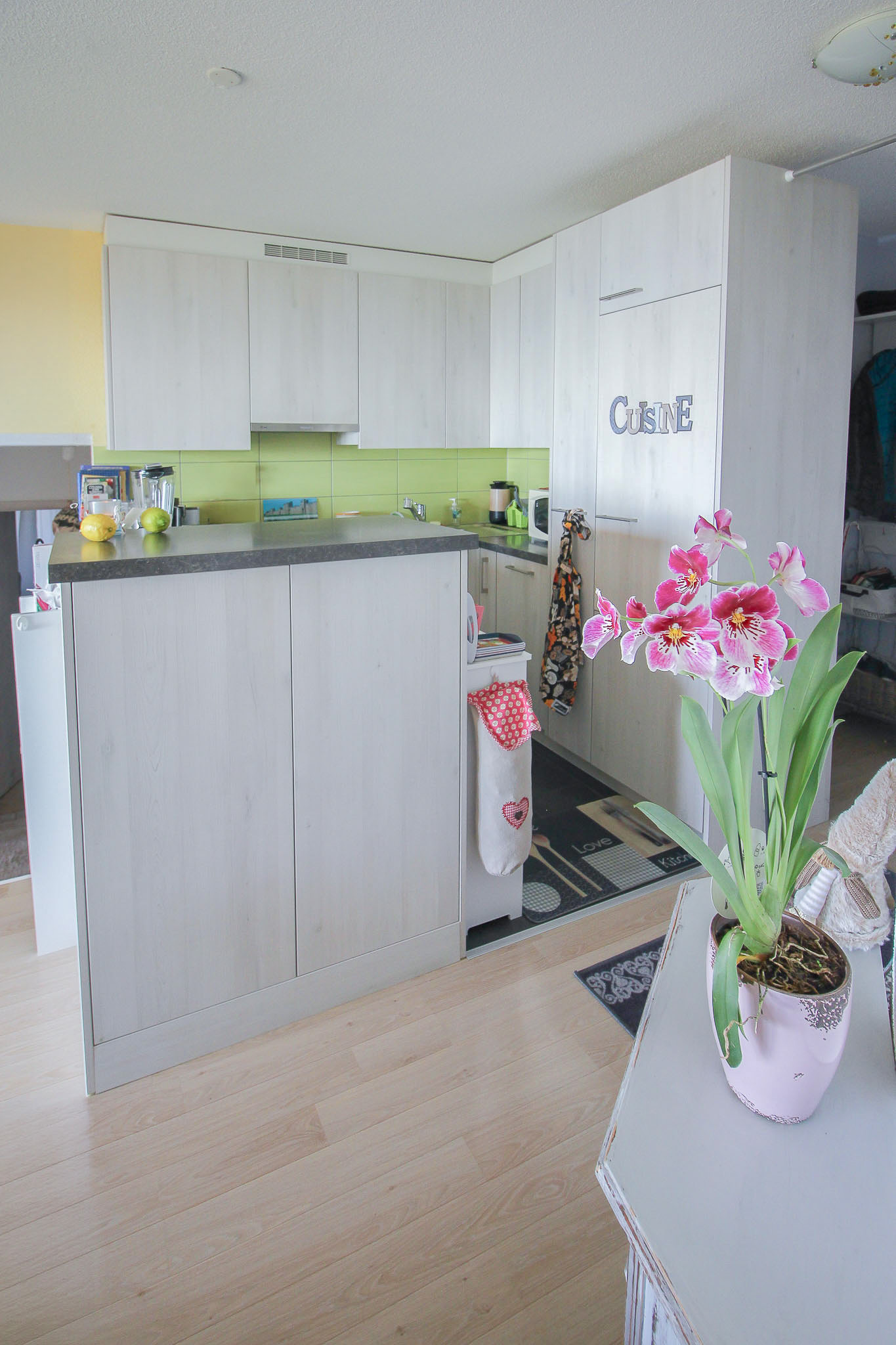 Cuisine agencée ouverte