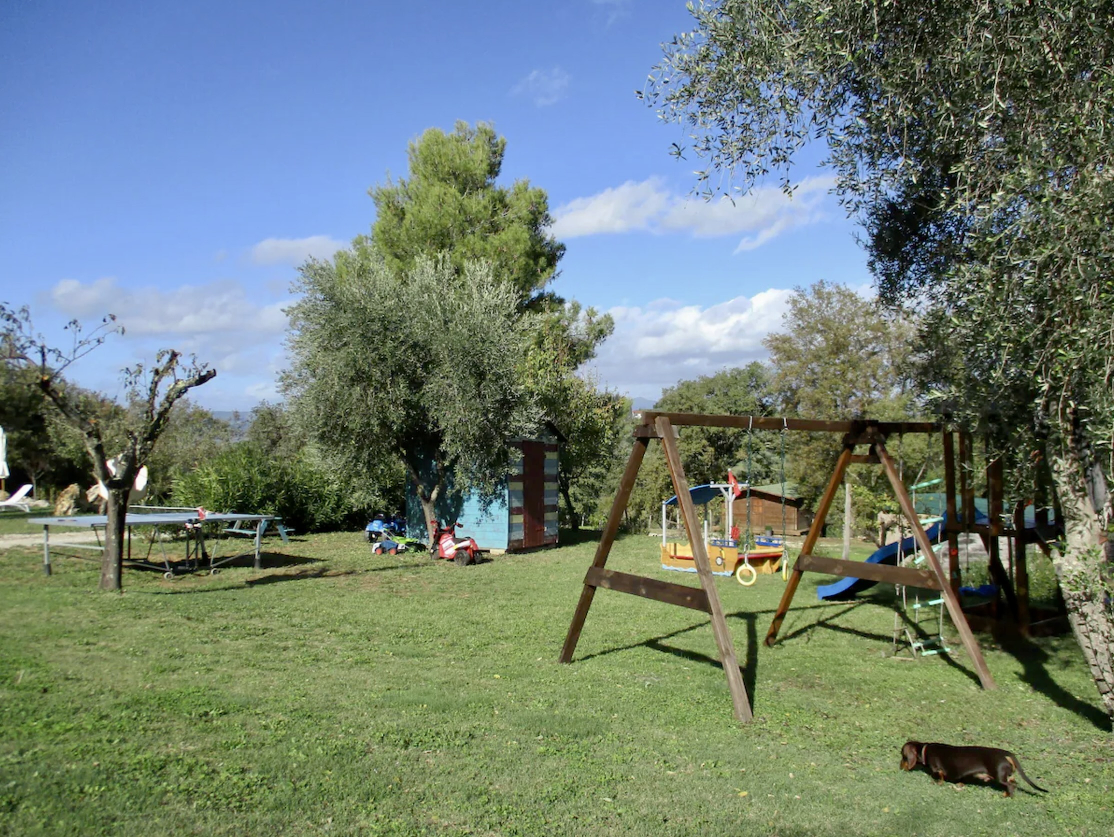 Photo 32