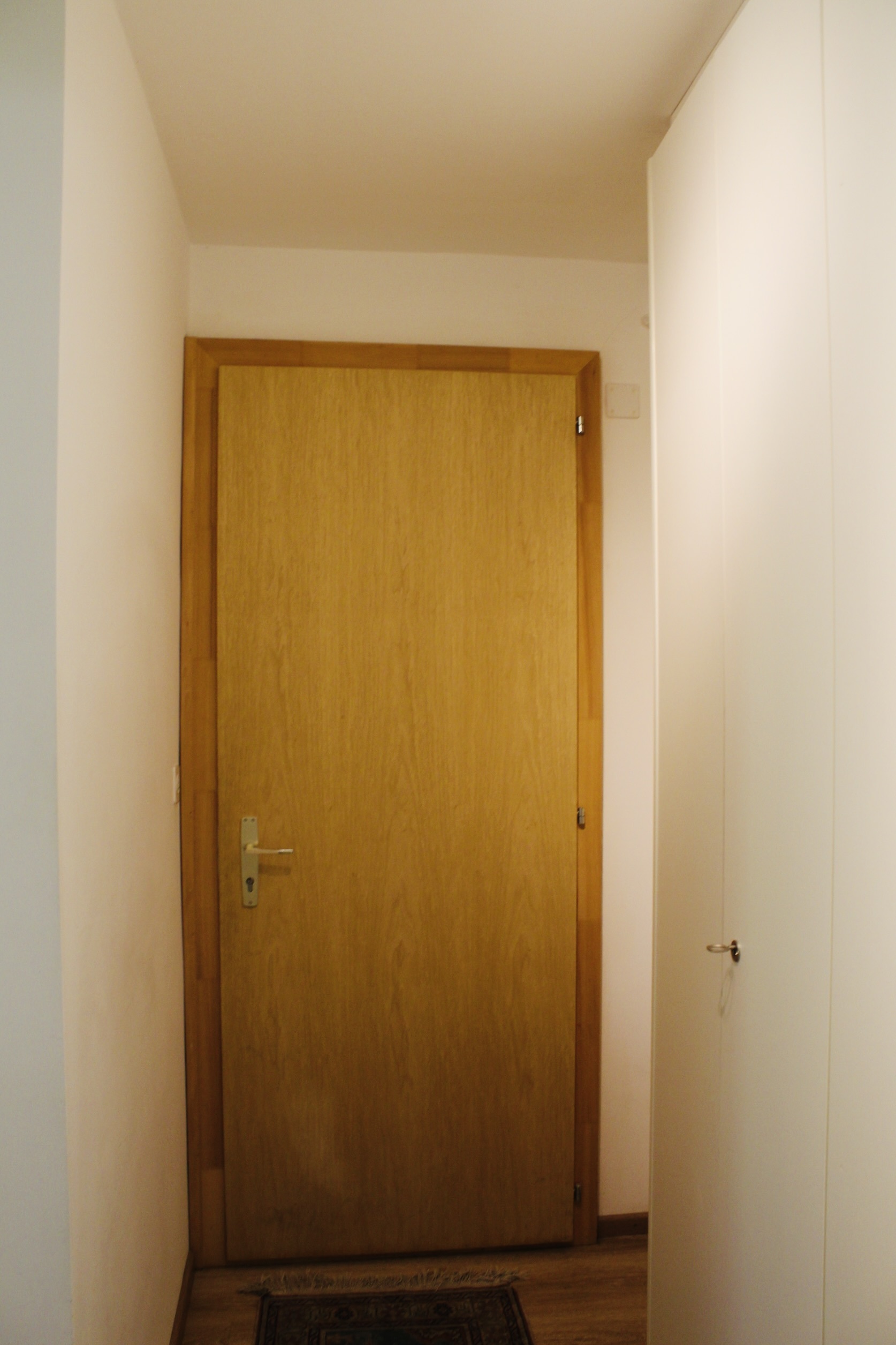 Picture 7