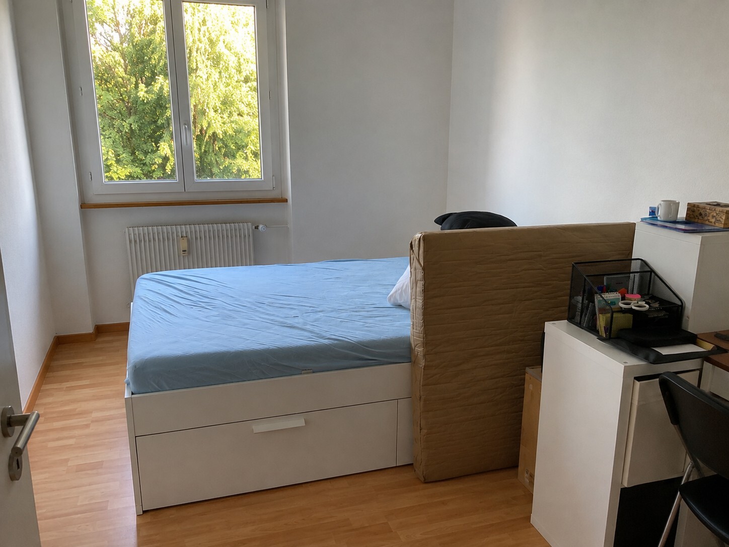 Picture 5
