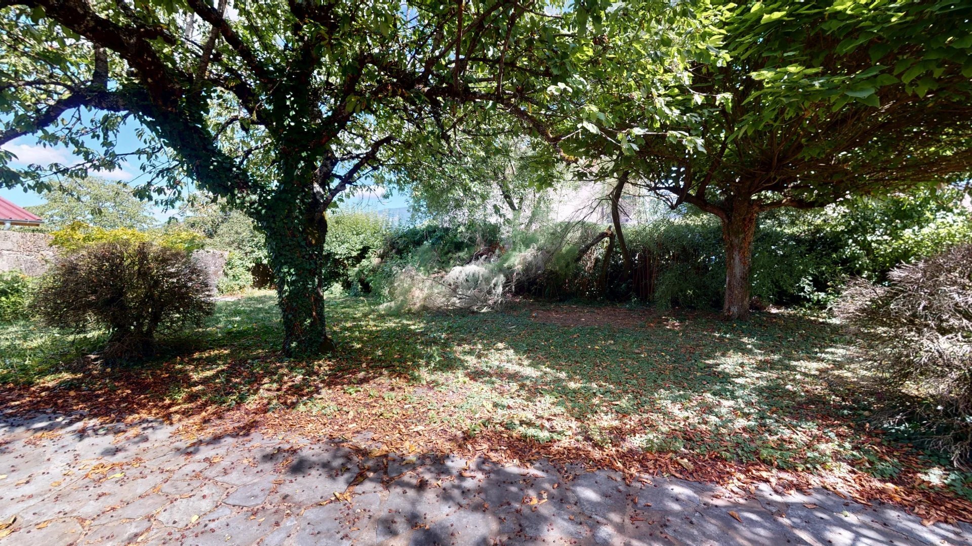Foto 15