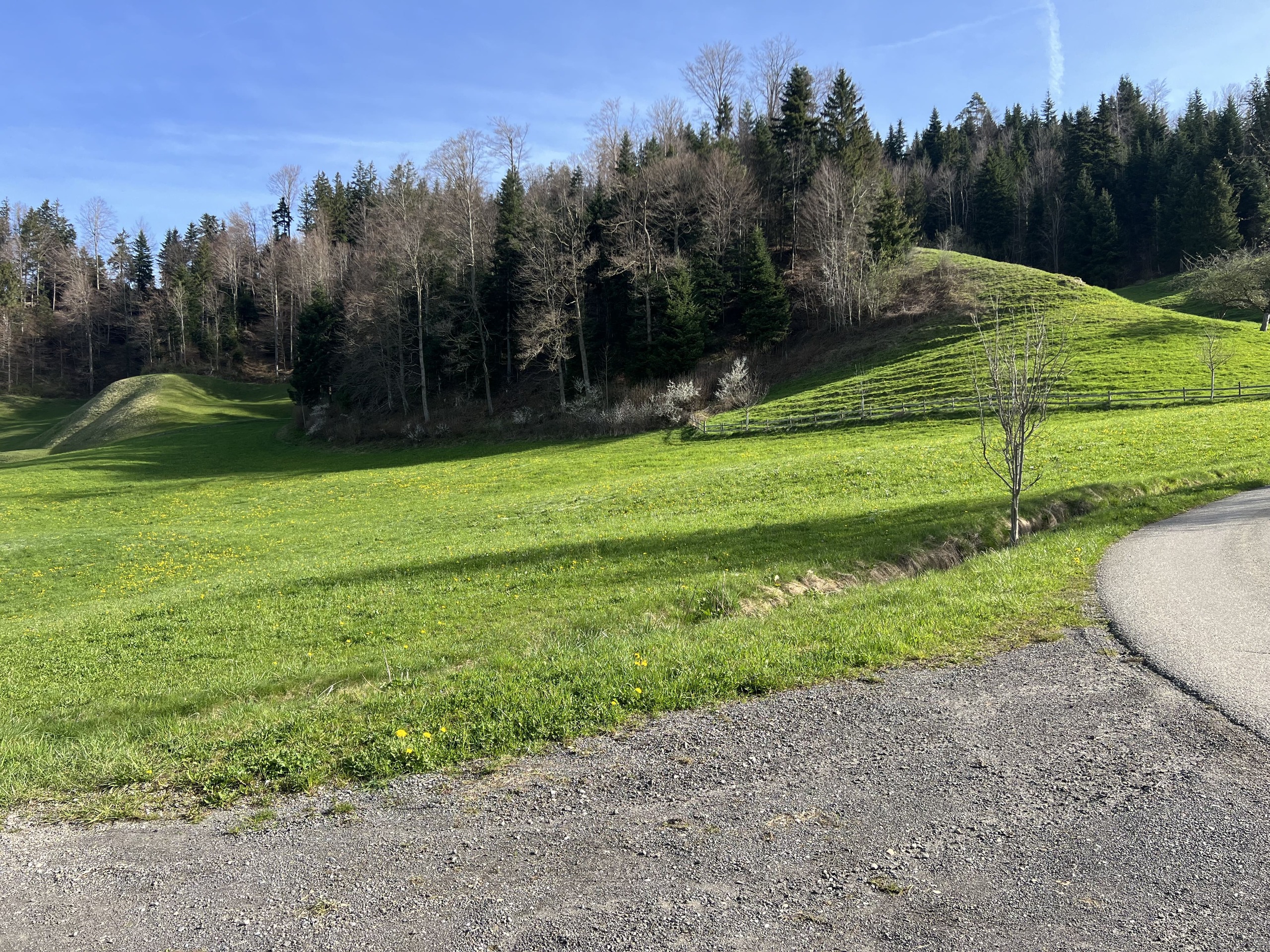 nördlicher Grundstückbereich nördlicher Grundstückbereich