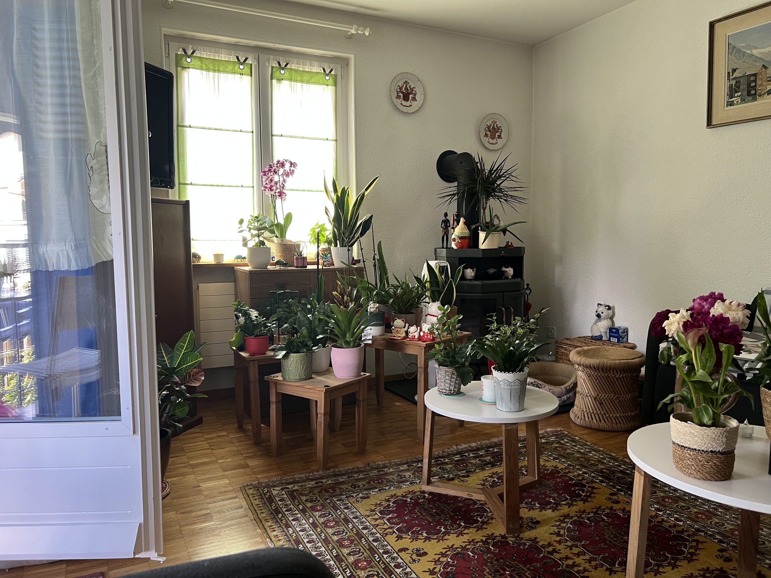 Vue intérieure 1