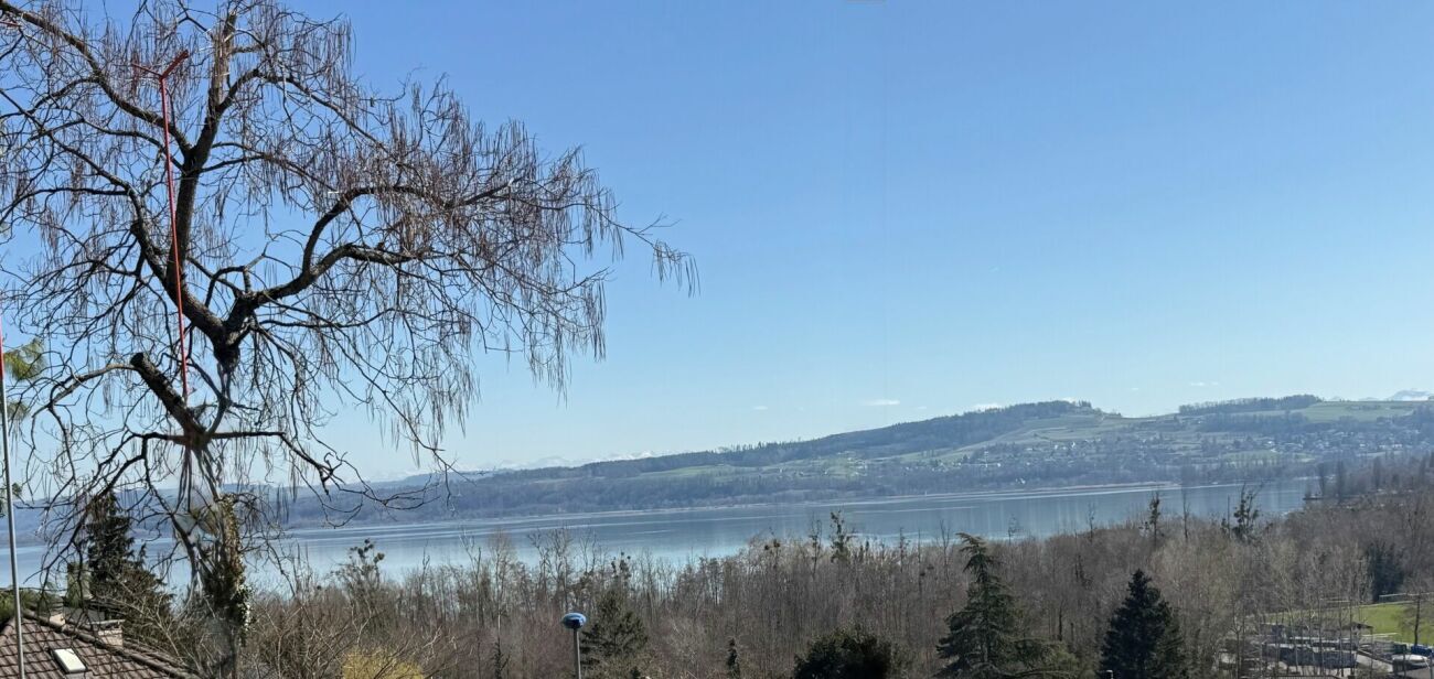 Immagine di copertina 2