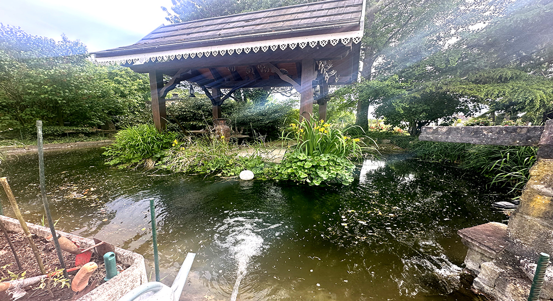 Foto 17