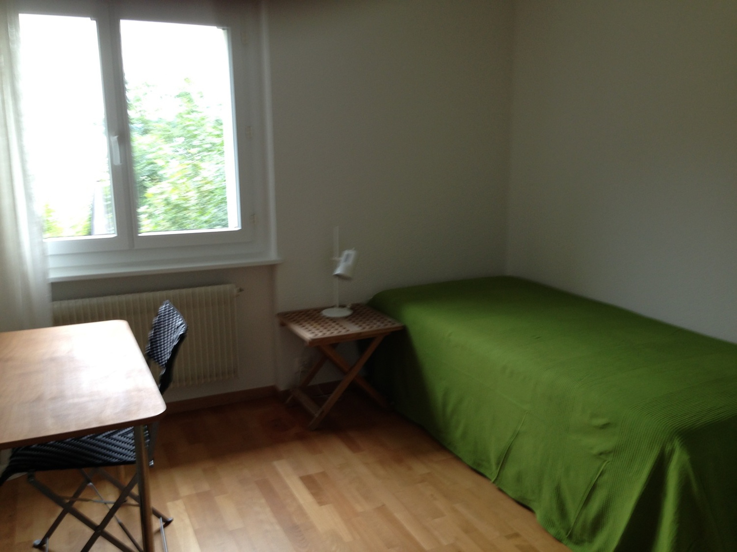 Foto 5