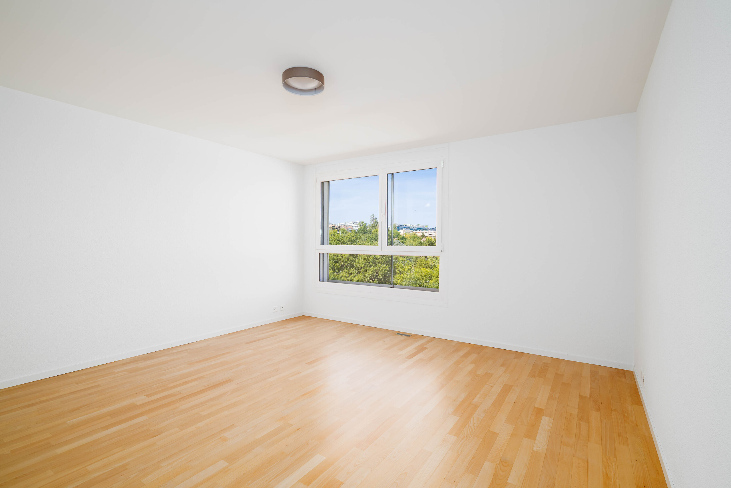 Interior view 8