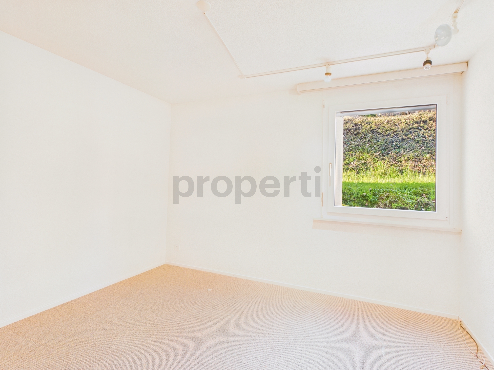 Image 6 Image 6