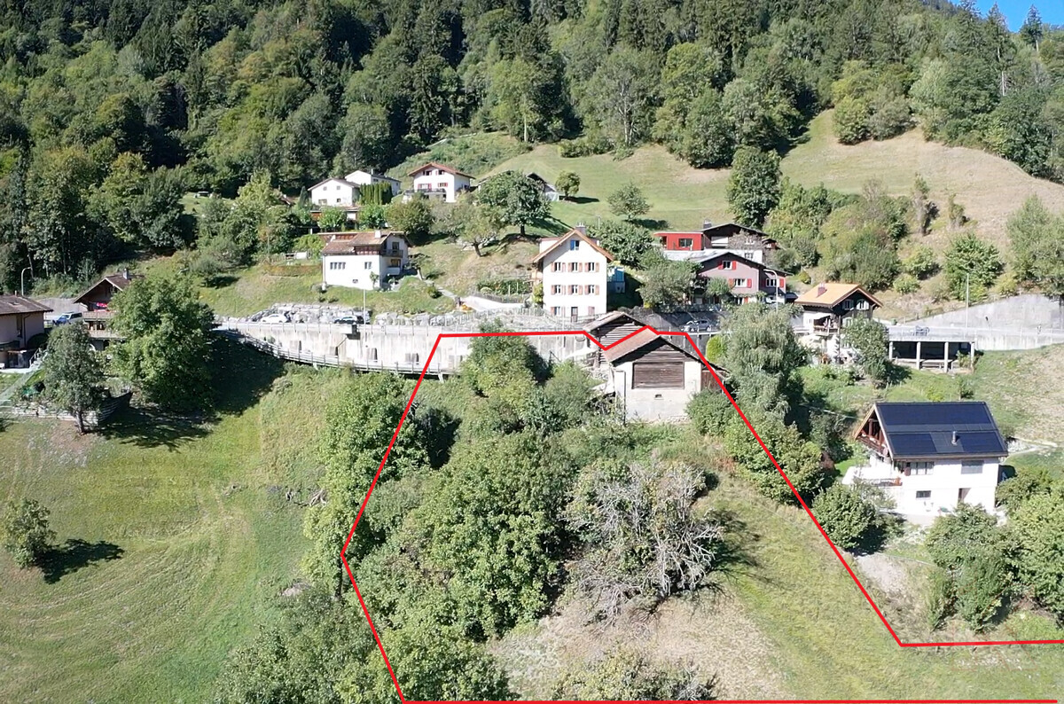 Foto 1