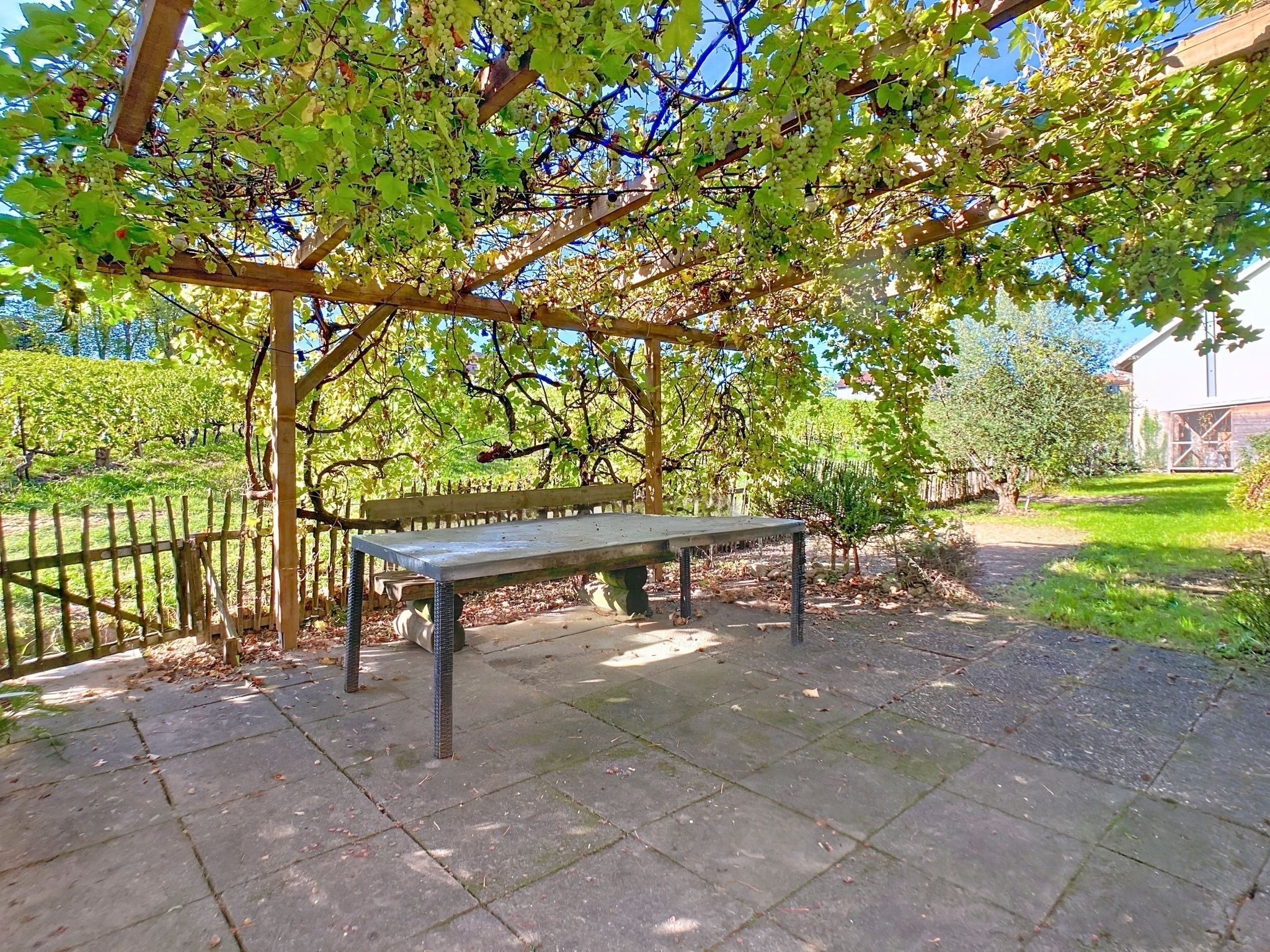 Jardin privatif avec vue sur le jura et soleil couchant