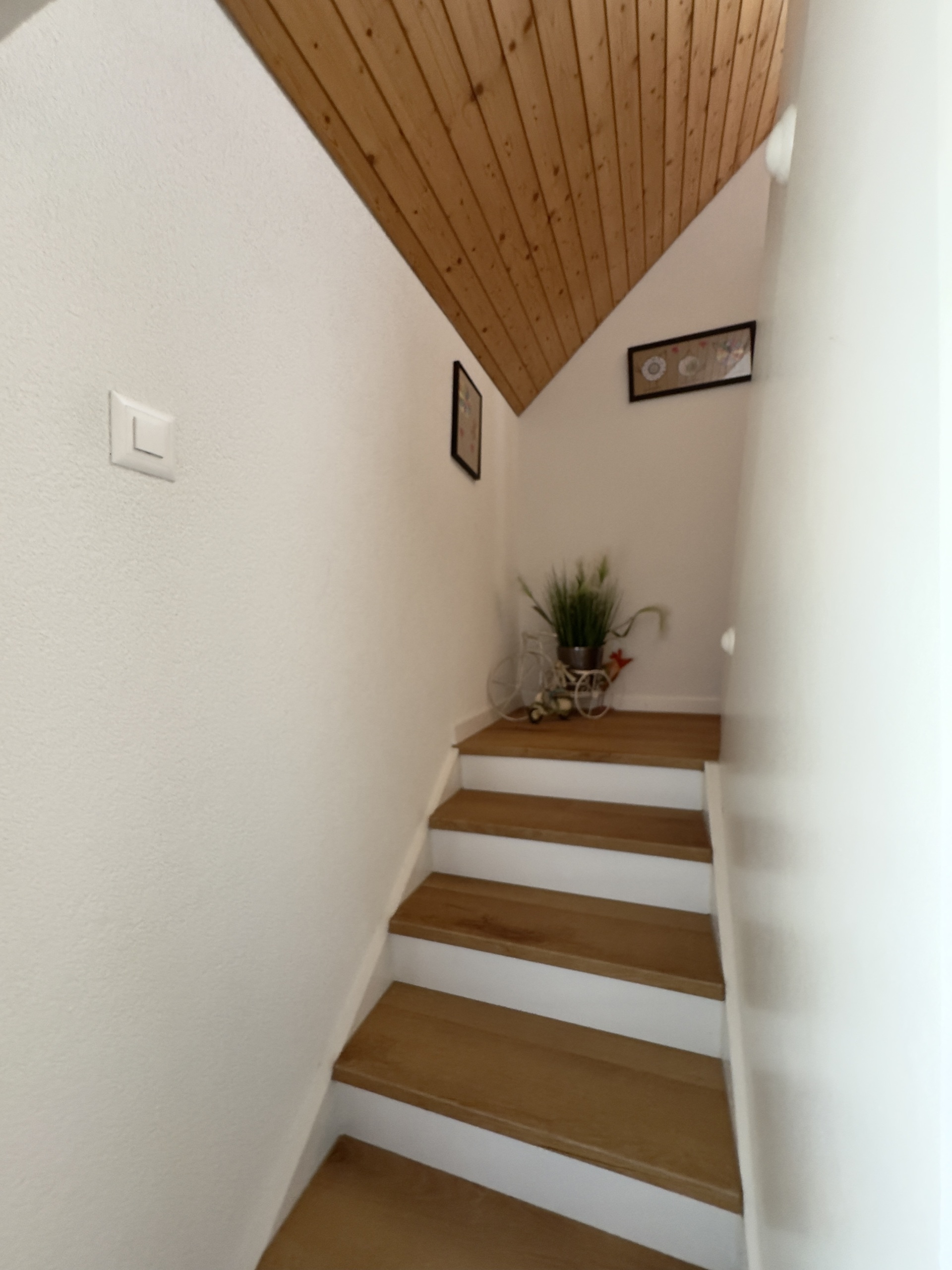 Vue intérieure 1