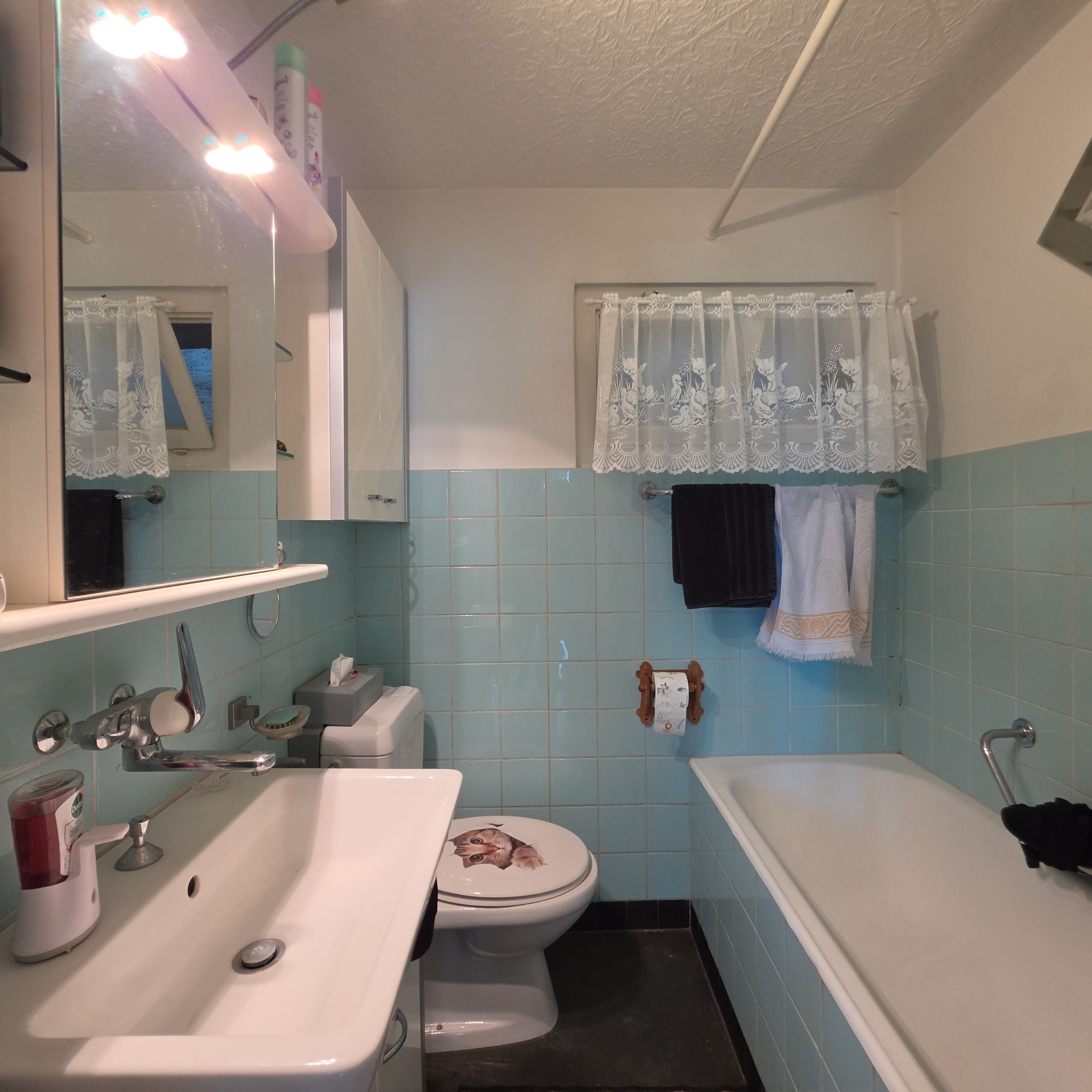 Appartement rez - salle de bain