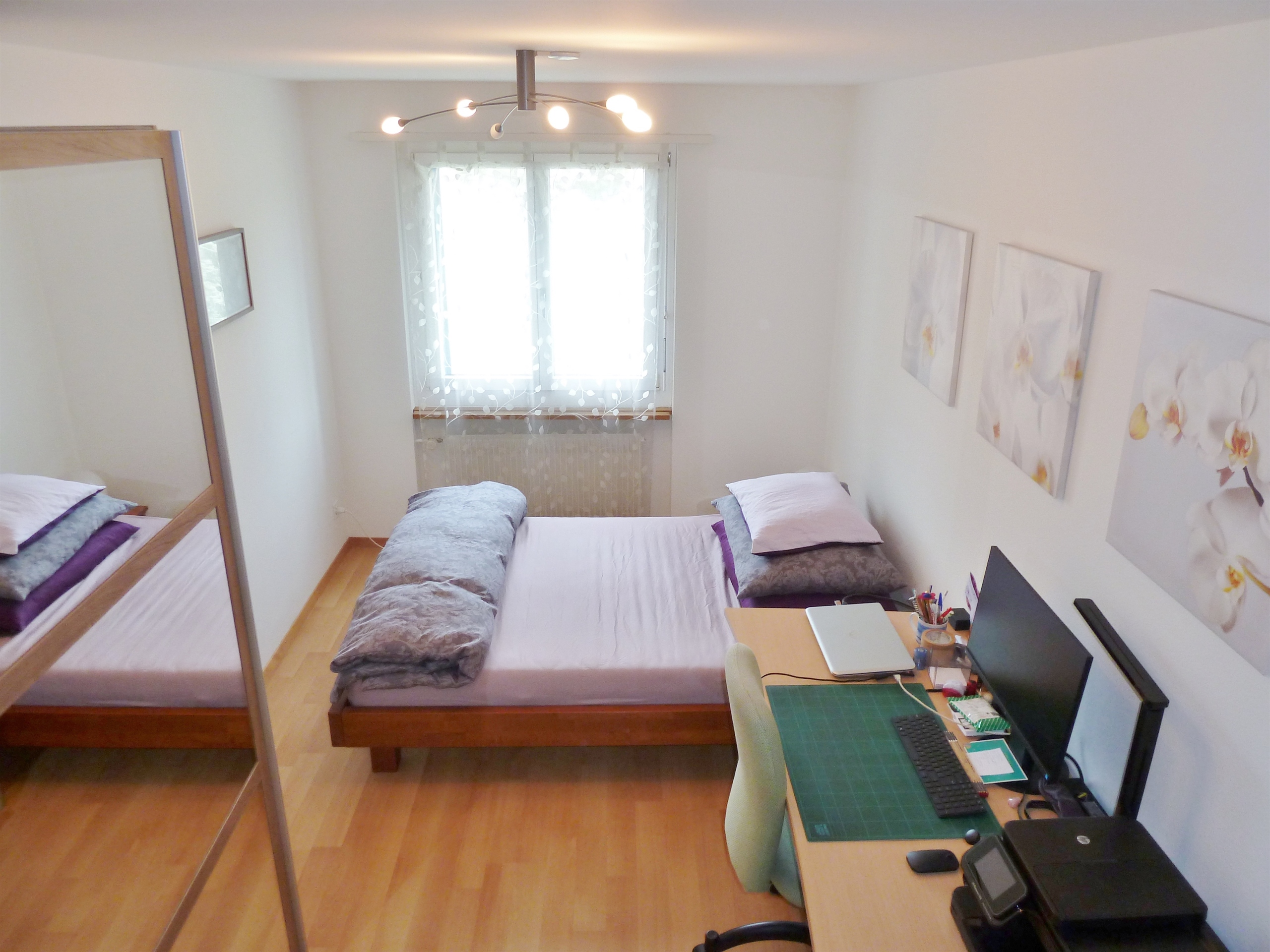 Picture 3