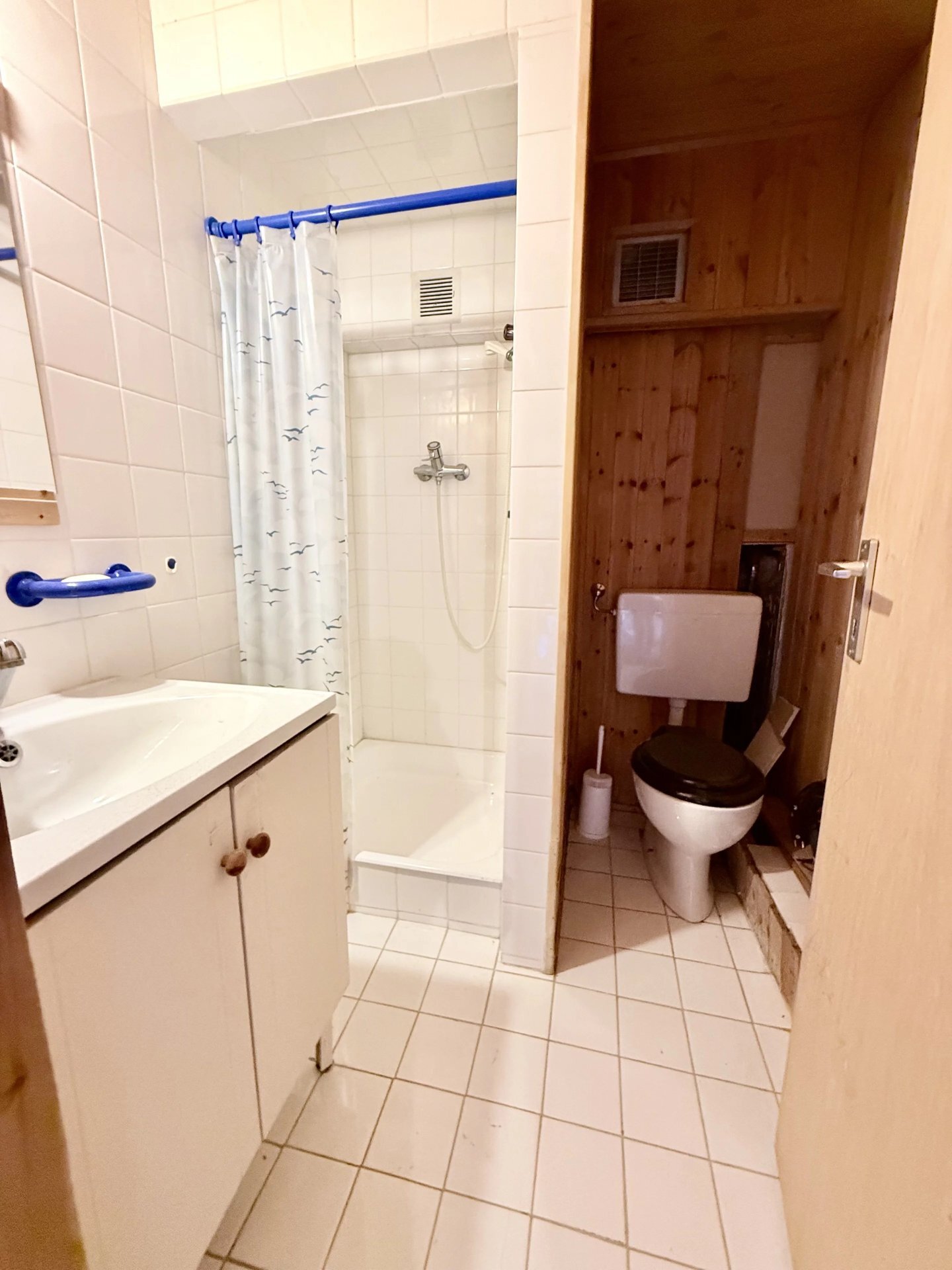 Picture 11
