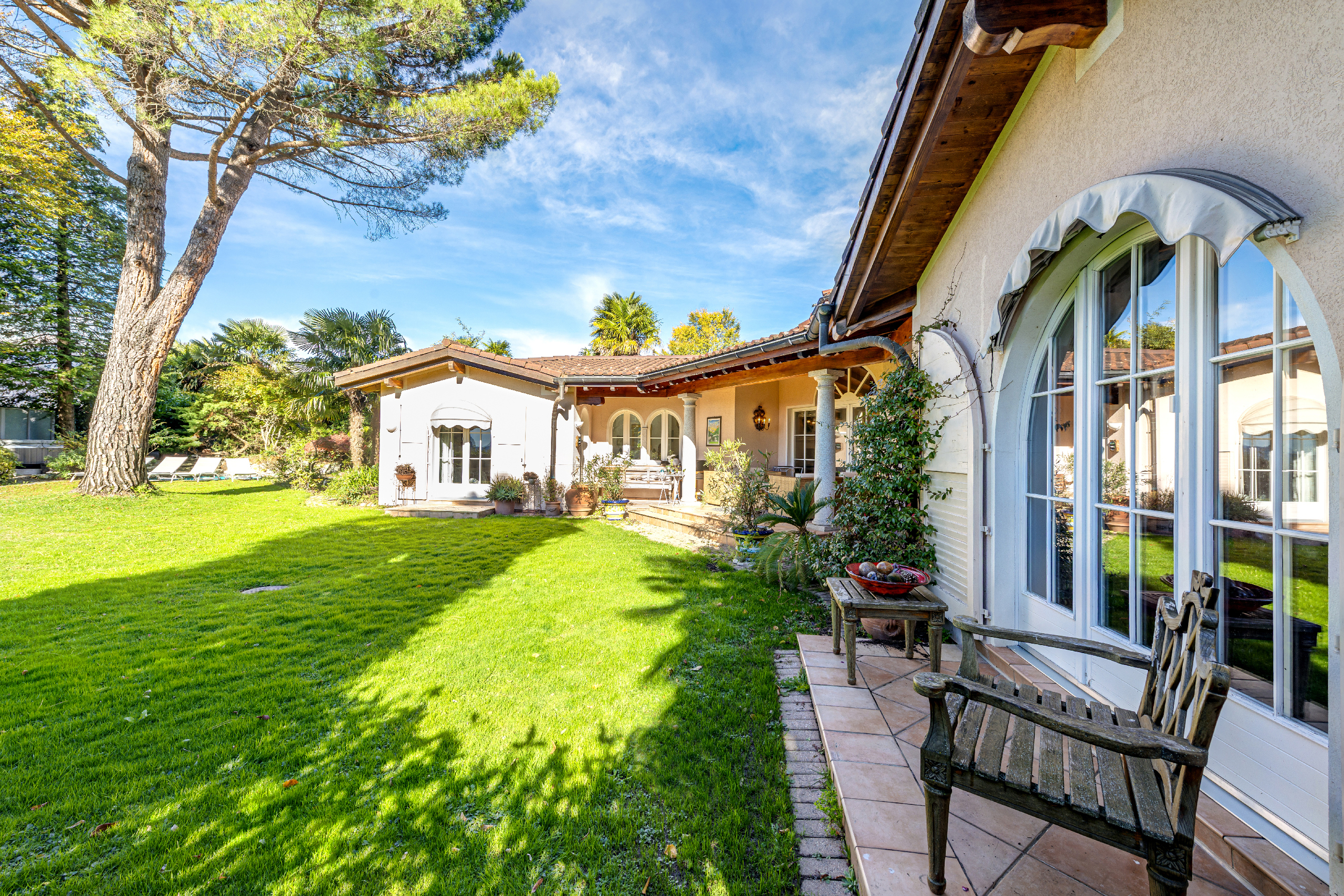 Immagine di copertina