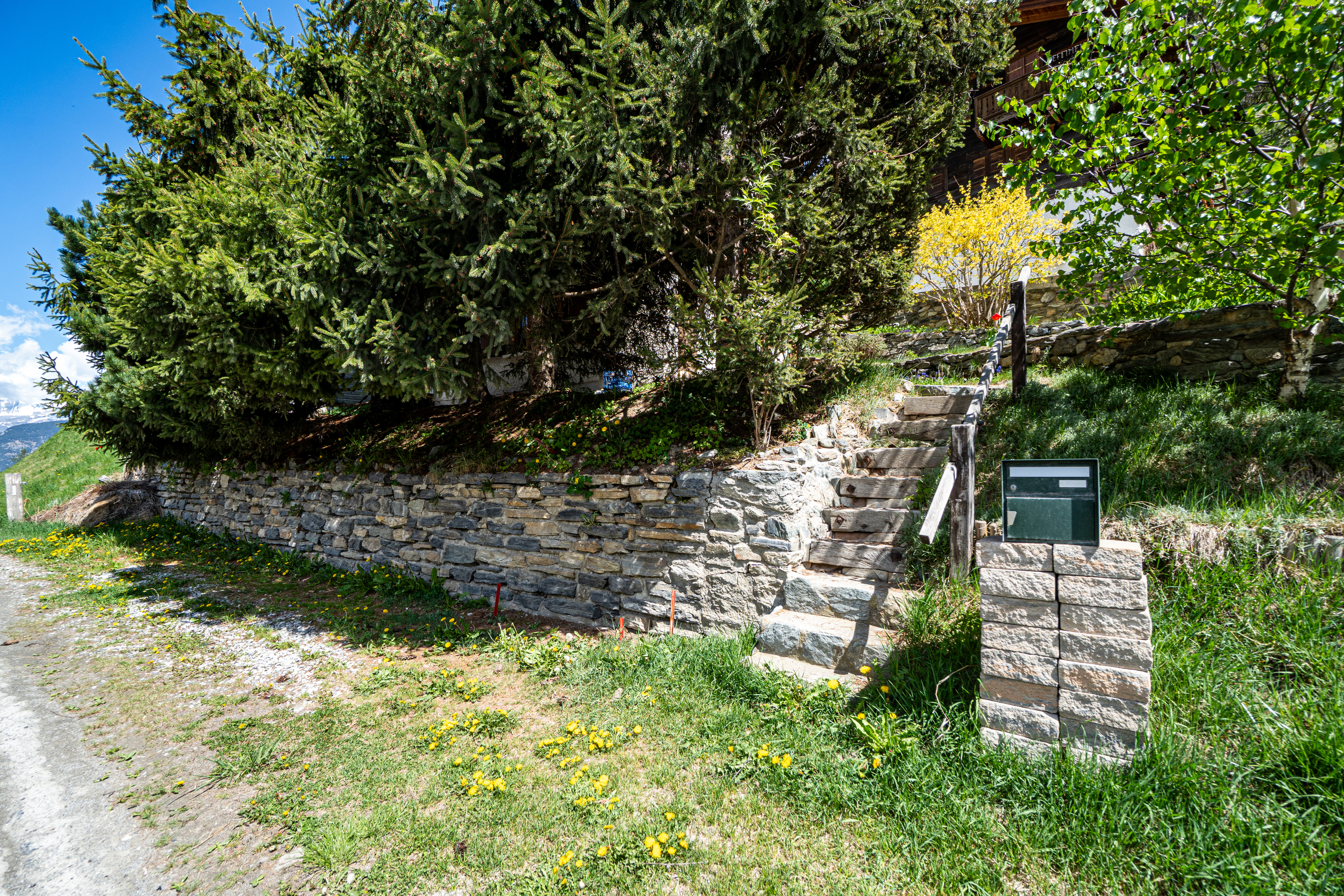 Photo 25