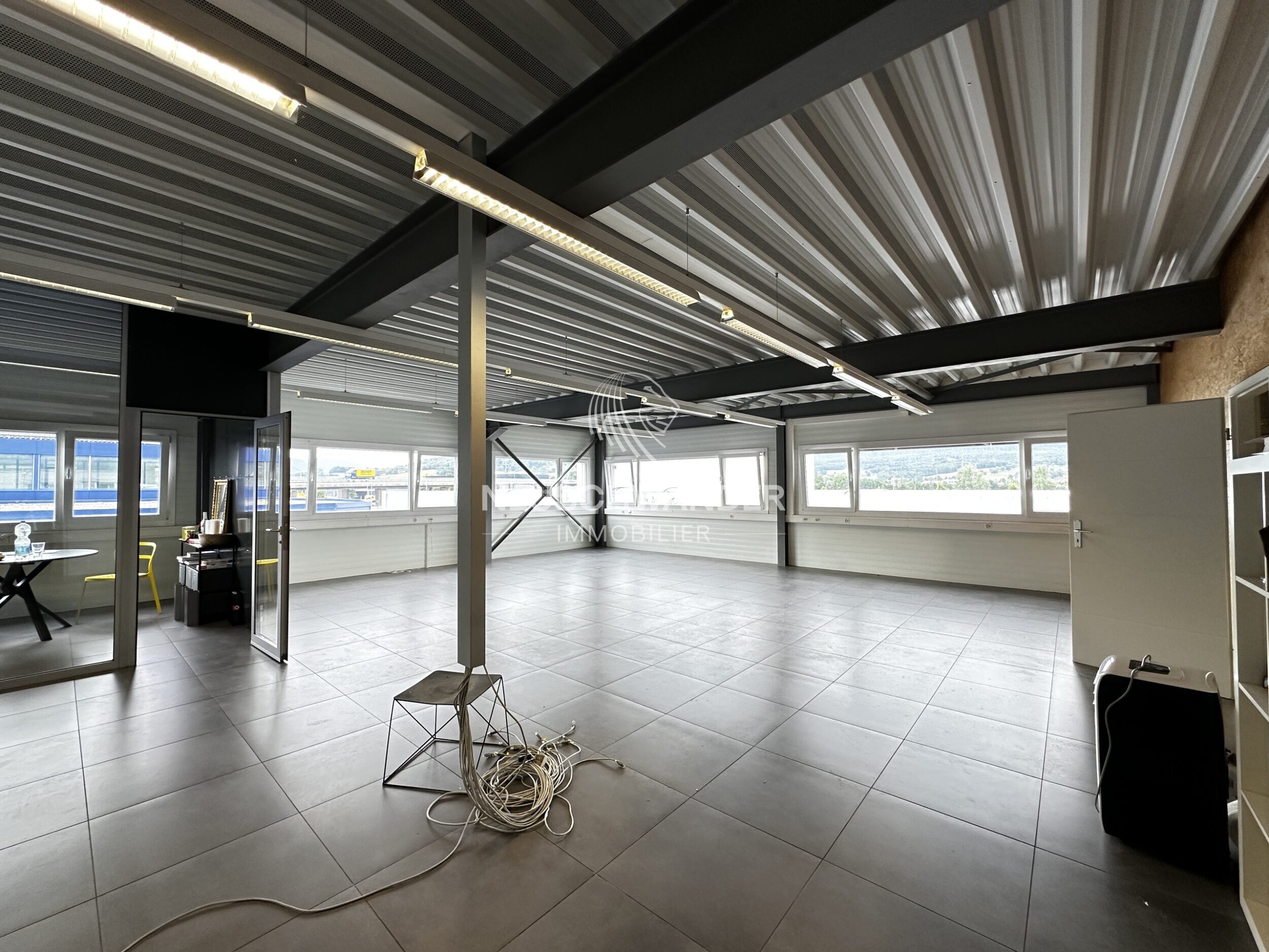 Picture 8