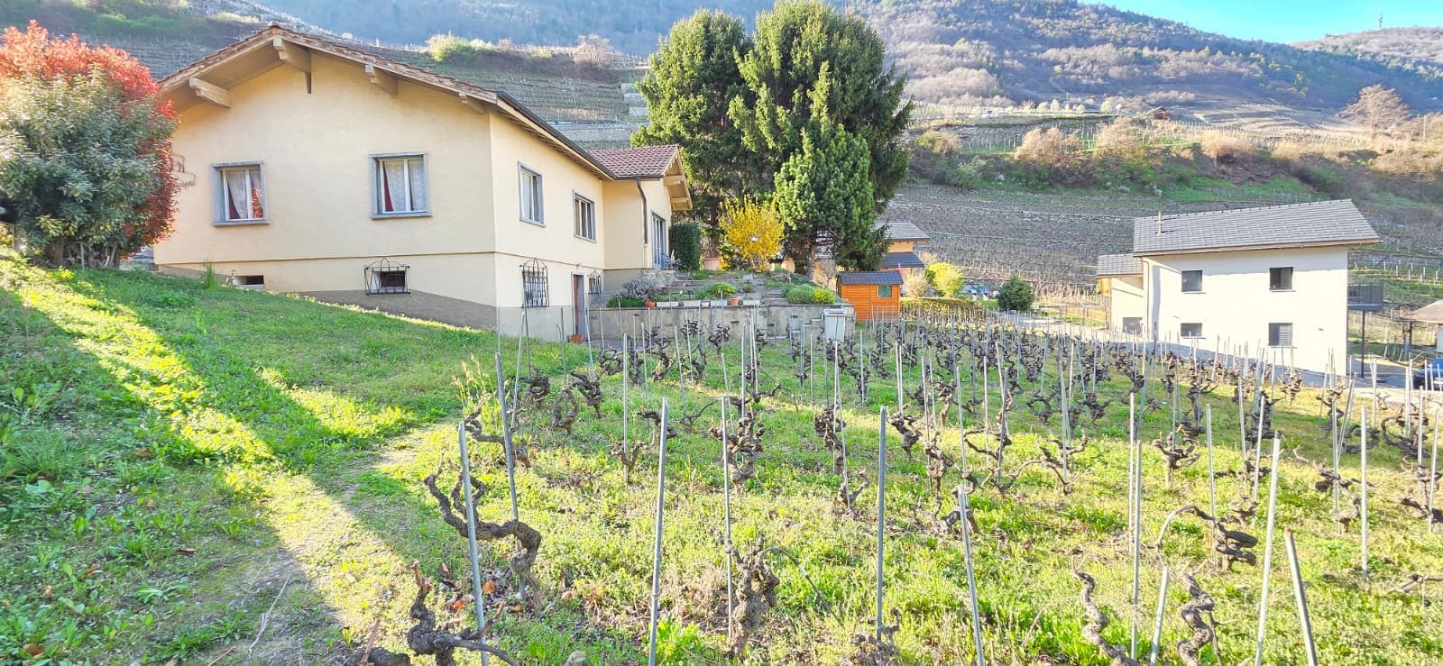 Premier coup d'oeil 1