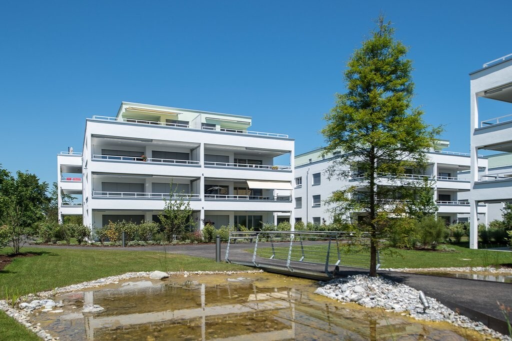 Picture 1