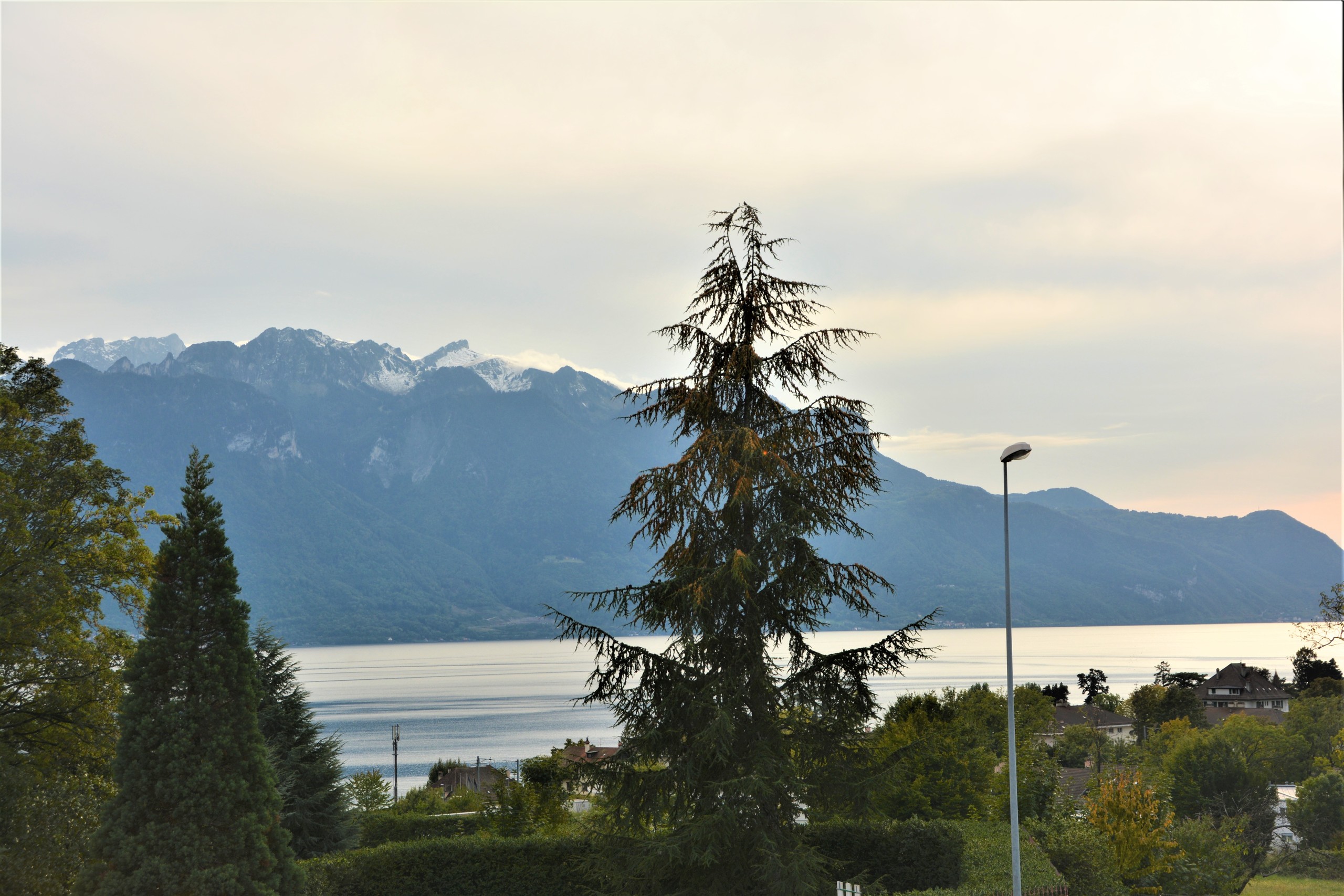 vue depuis le jardin, sud