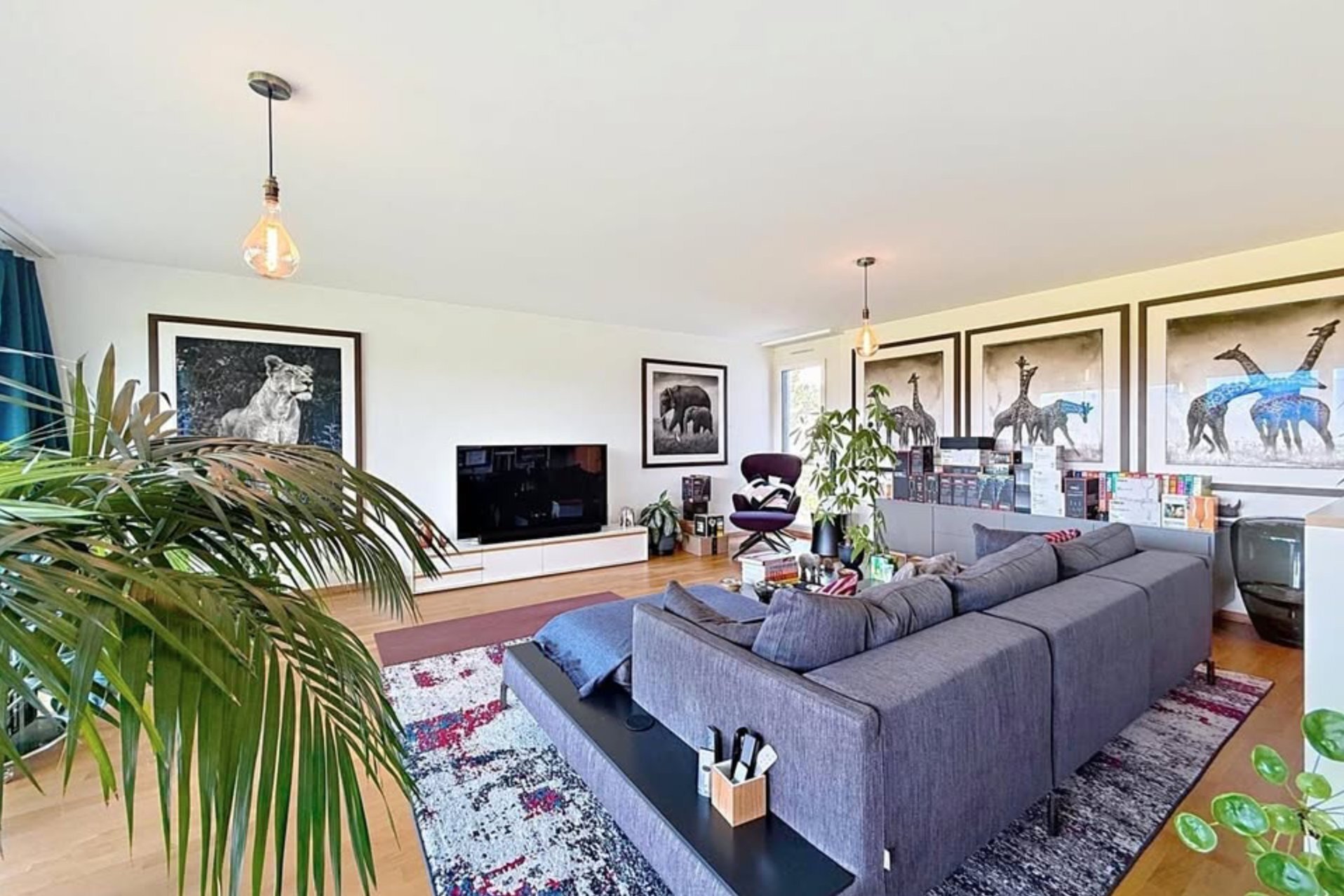 Immagine di copertina 1