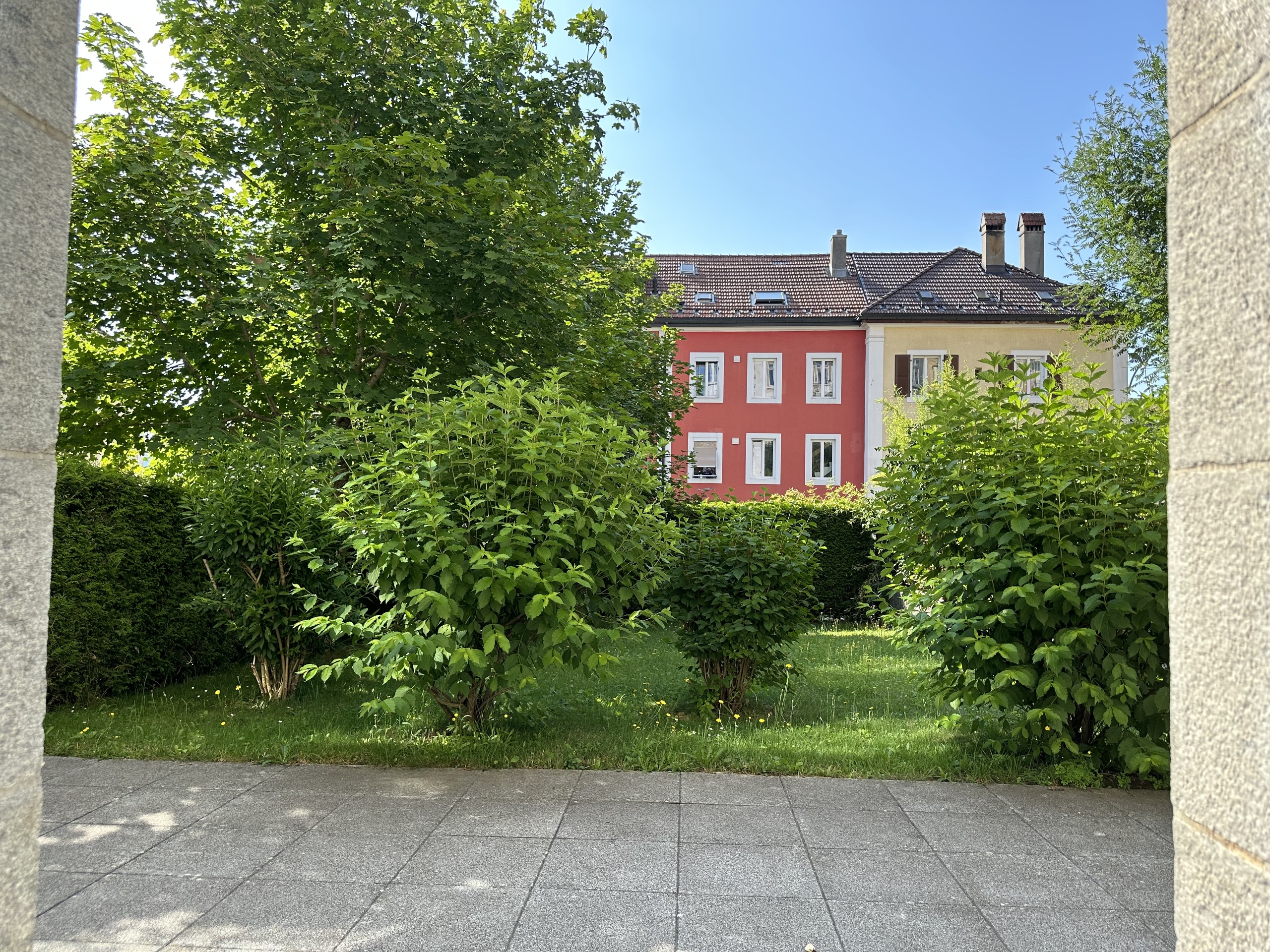 Photo 6