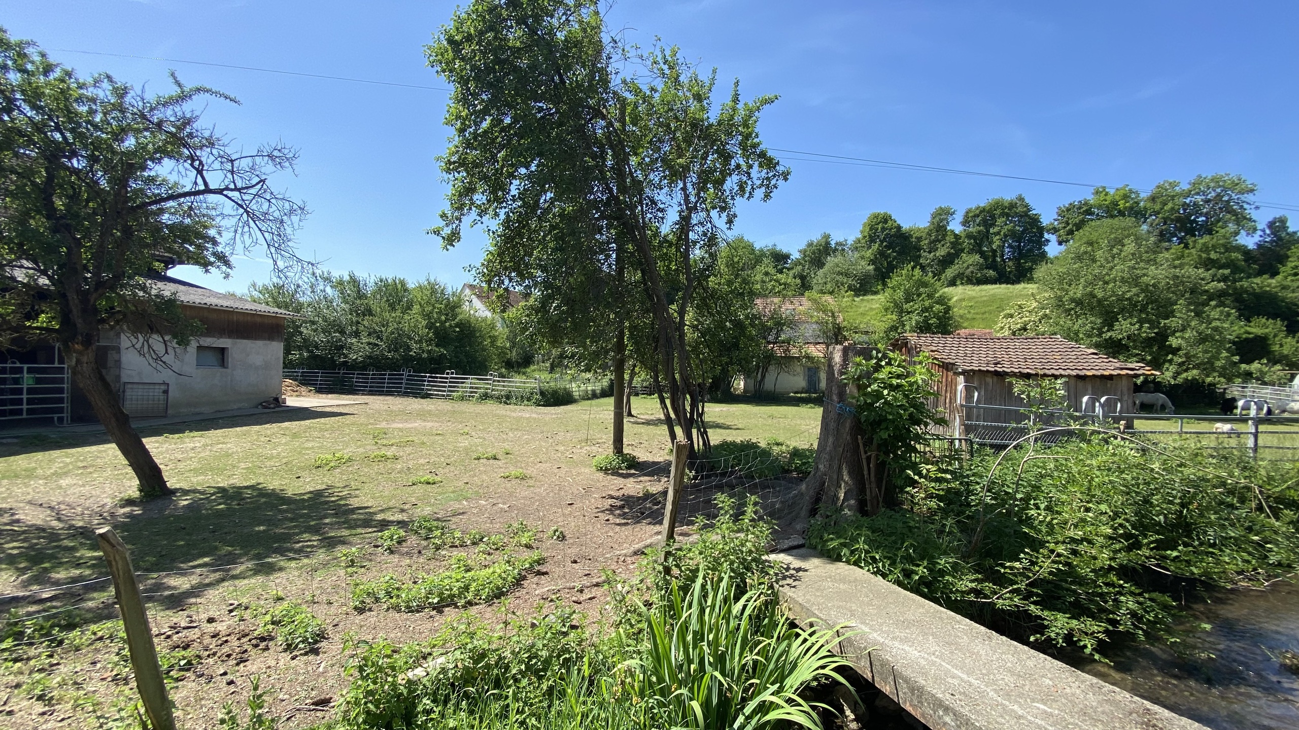 Picture 19