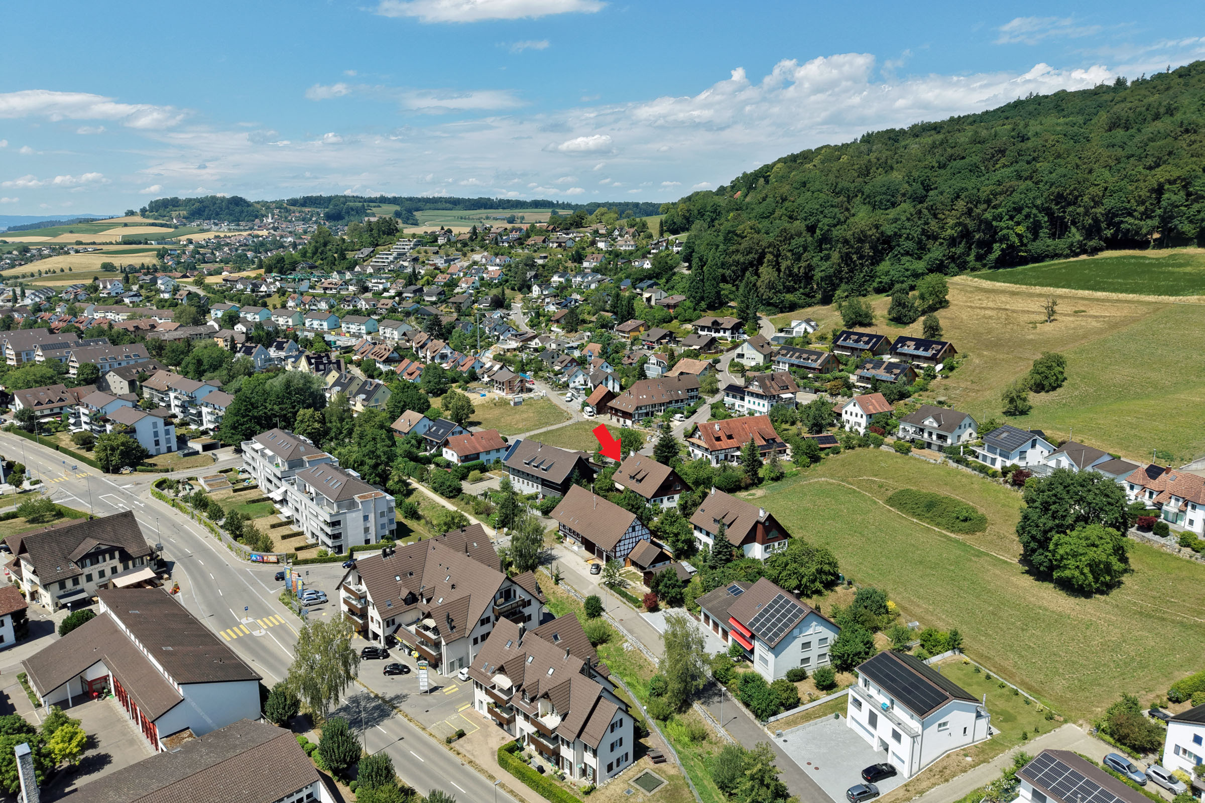 Auch die erholsame Natur liegt praktisch vor der Haustür