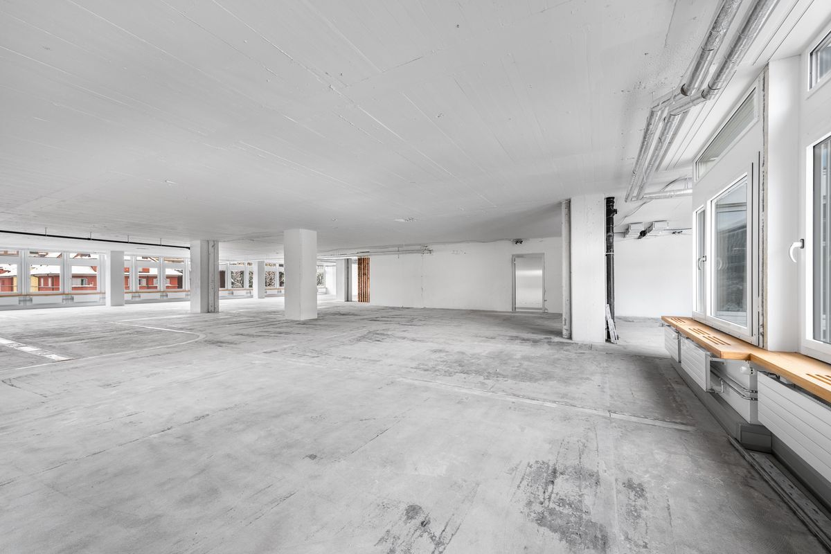 Picture 5