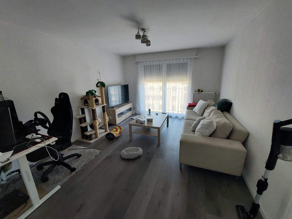 Photo 4