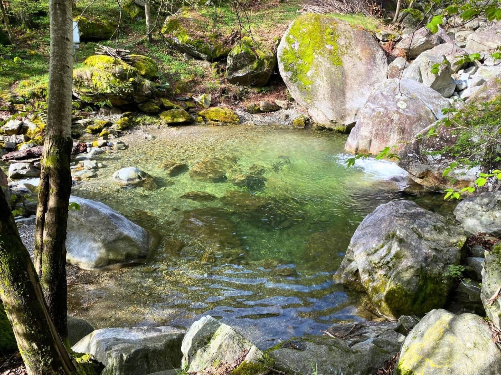 Image 2 Image 2