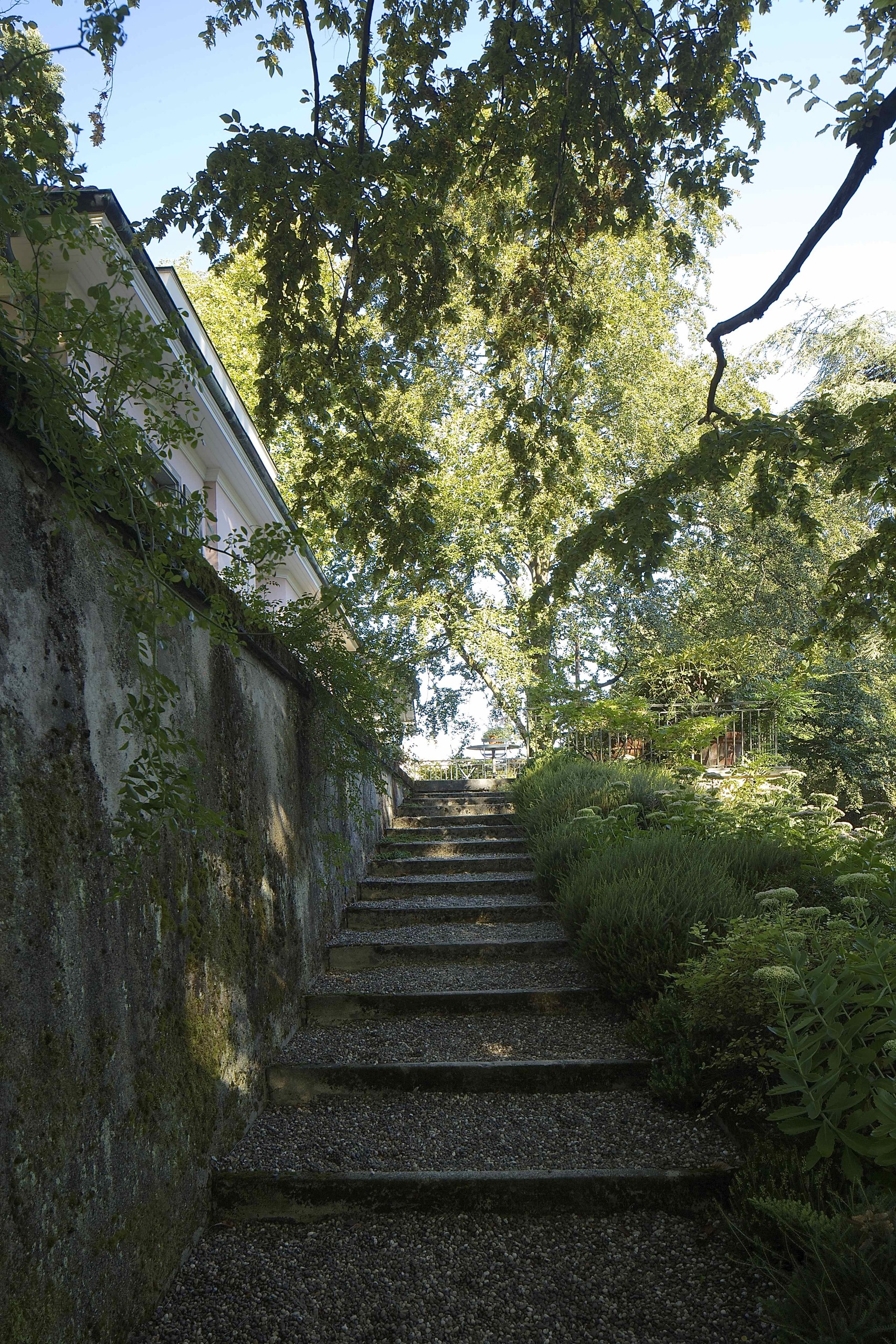Escalier accédant au garage Escalier accédant au garage