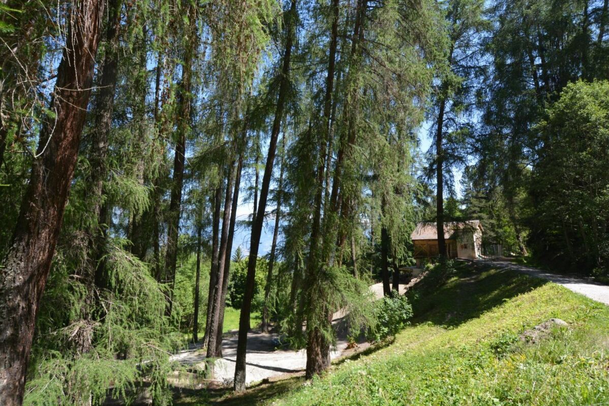 Foto 8