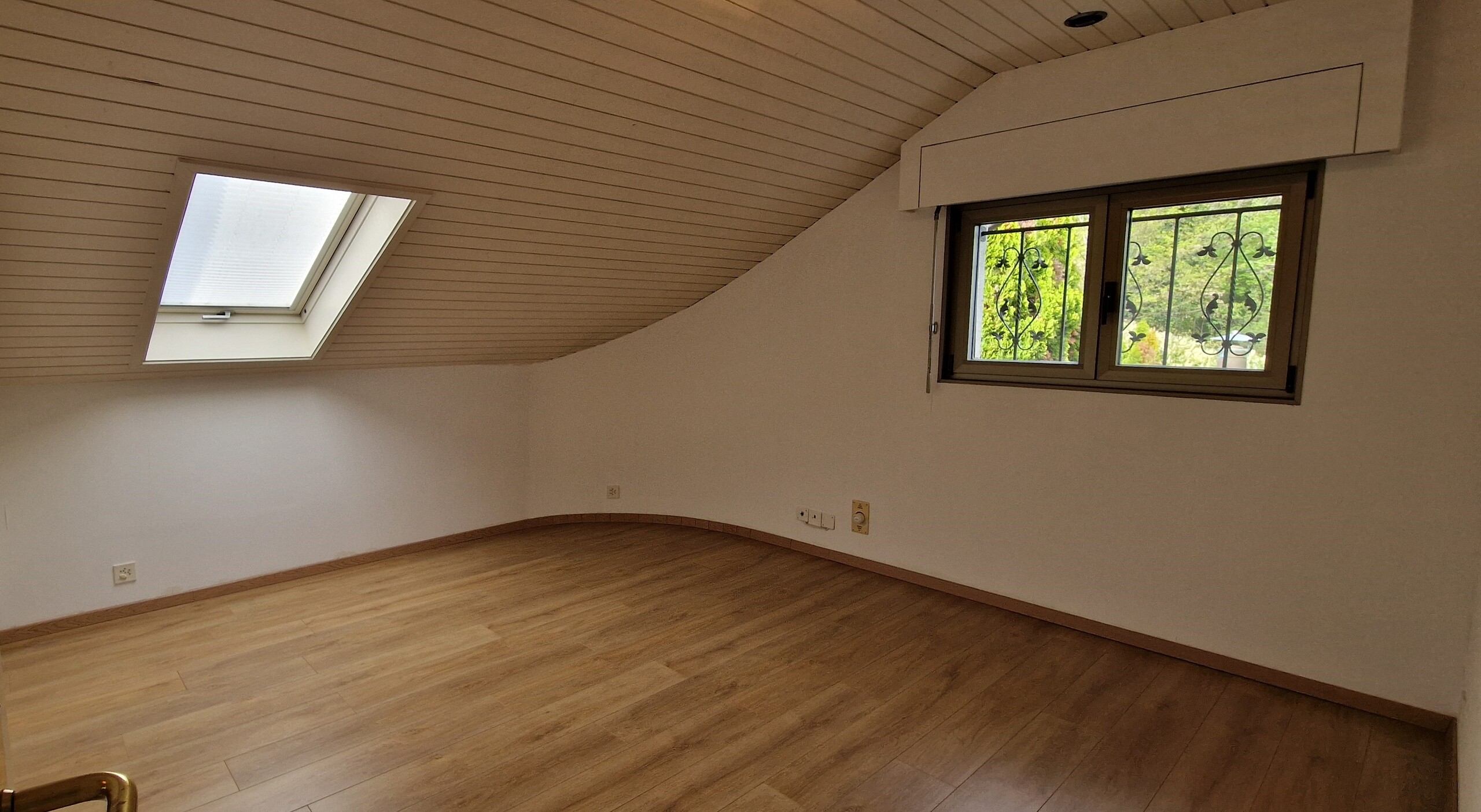 Picture 14