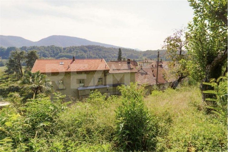 Immagine di copertina 1