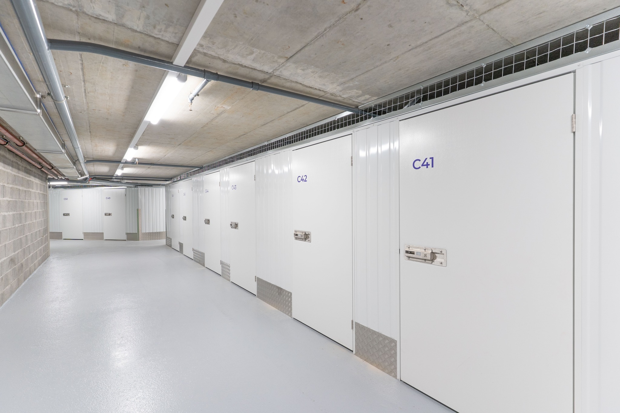 Picture 8