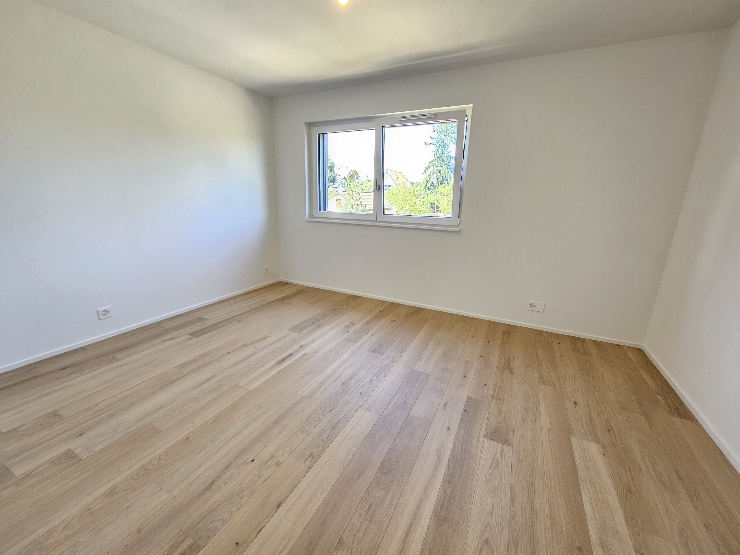 Interior view 7