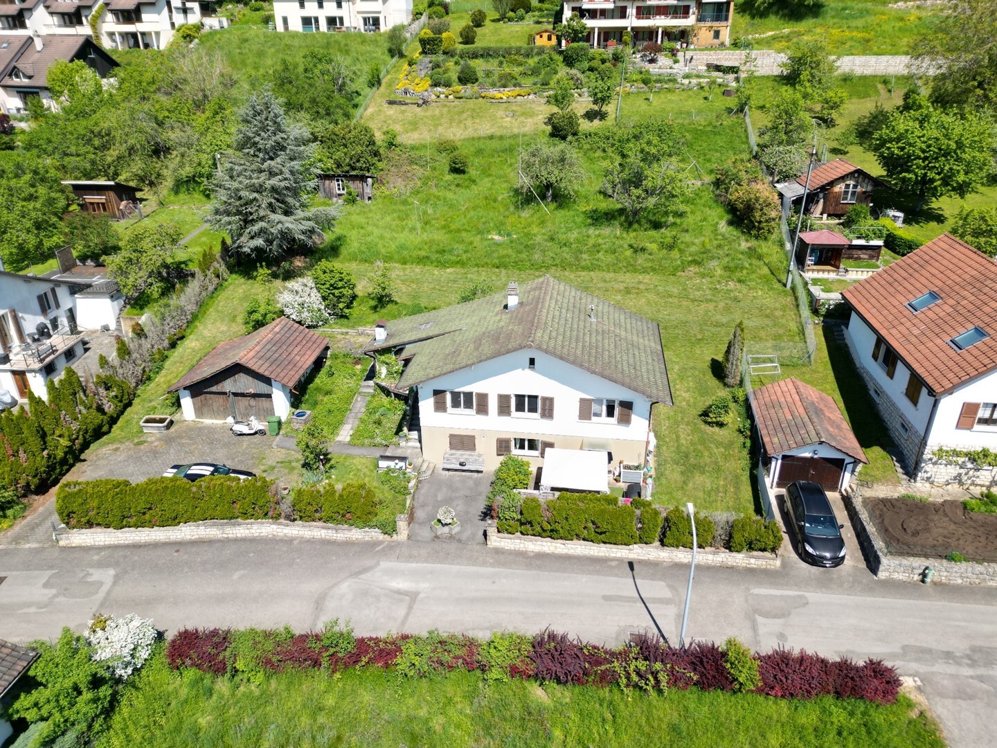 Photo 6