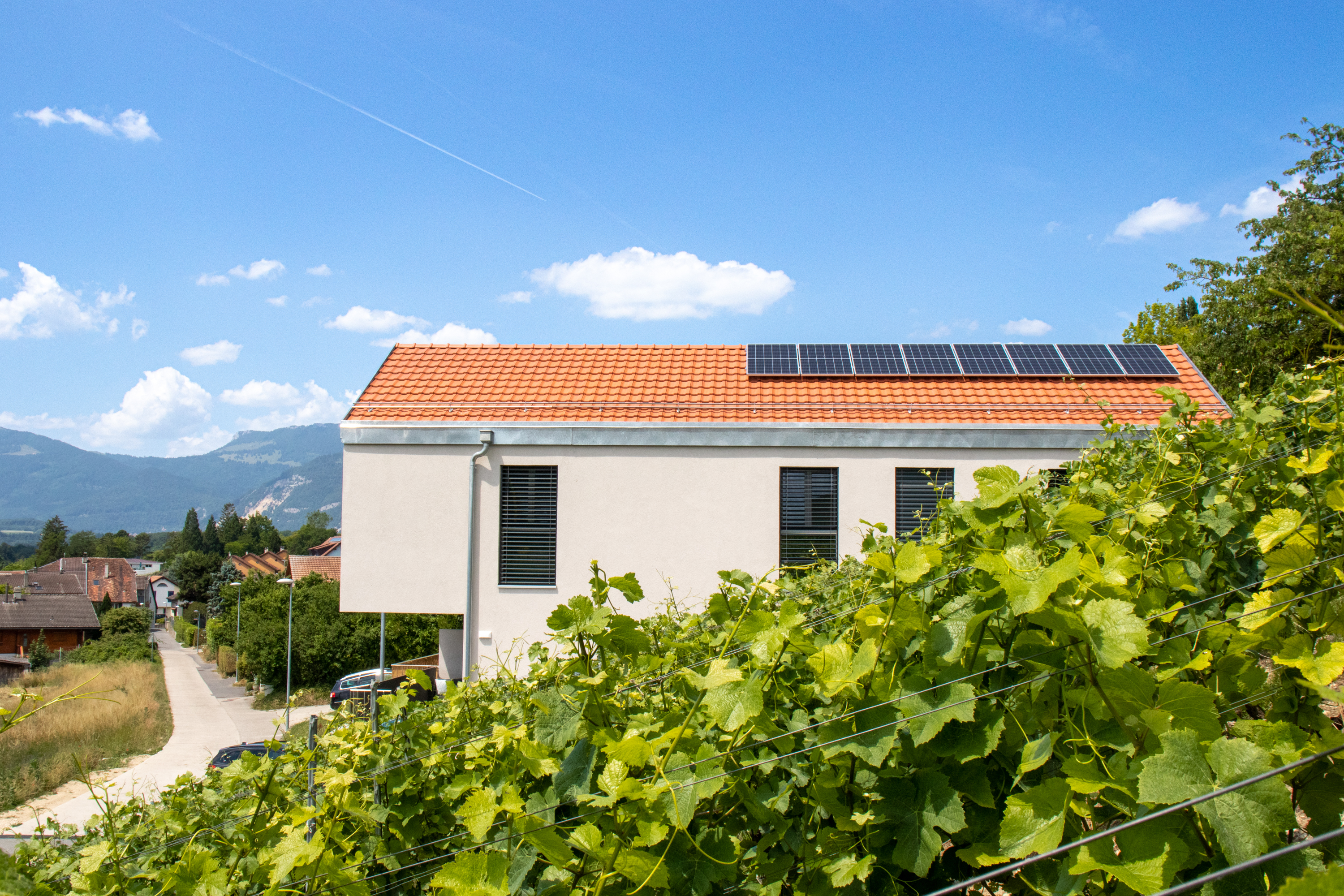 Projet immobilier à Valeyres-sous-Montagny avec deux maisons jumelles construites : les maisons vues depuis le vignoble.