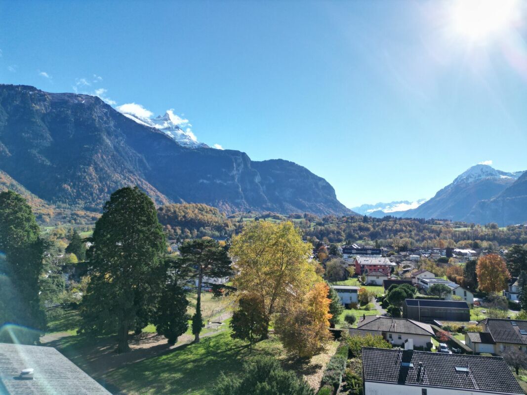 Photo 6
